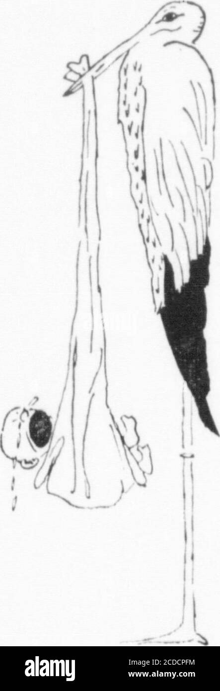 . Die Rotunde . Willkommen Freshmen Volume X DIE ROTUNDE, MITTWOCH. «. SEPTEMBER 1929 BLUE RIDGE MEETWAS ATTRACTIVETO SOMMERGÄSTE FanmUle Delegation Firings kehrt von der Christian Conference zurück (von Adole Hutchinson) Wer von uns war, der fühlt sich bei Blue Ridge völlig verlustbehaftet, wenn er gefragt wird, 25 Blue Ridge mir gefällt. Es ist so hellwach, dort in der schroffen Landschaft nahe dem Dach des AppalachianRange im Blue Ridge Mountains von North Claiolina. Dort, umgeben von sechzehn hundert Morgen jungfräulichen Wäldern, Gebirgsbächen, in der Nähe eines Lakens Stockfoto