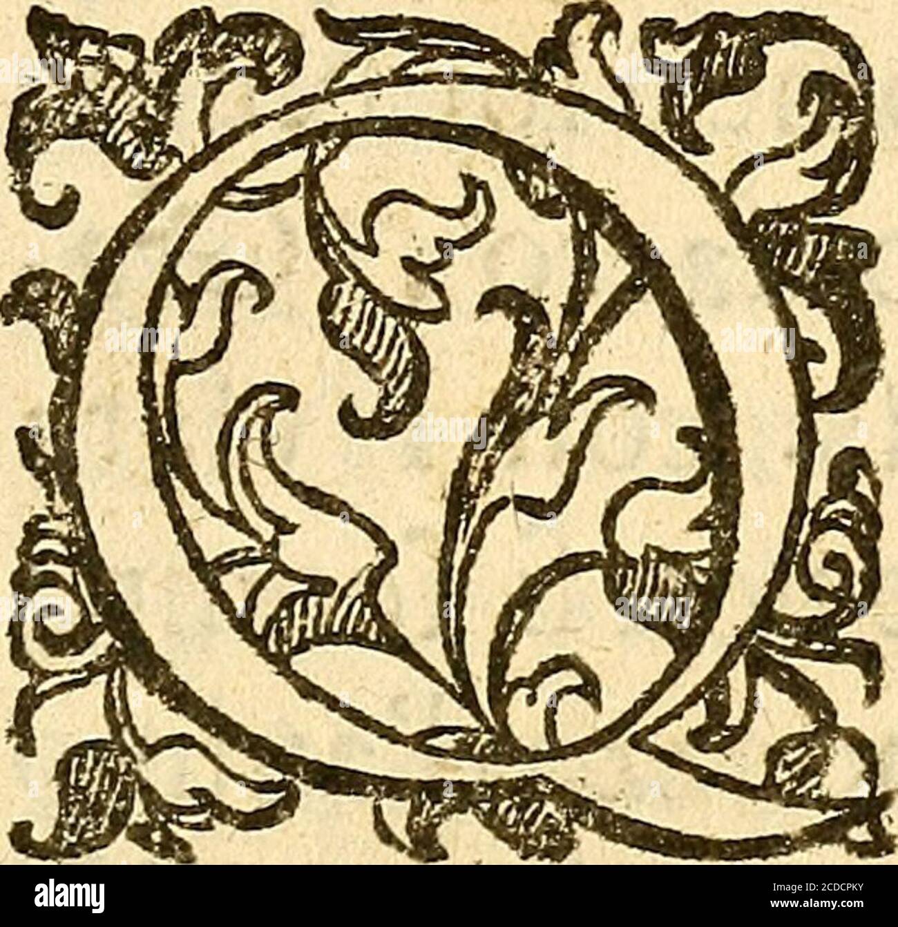 La Metoposcopia Ouero Commensuratione Delle Linee Della Fronte Allillvstrissimq S I G N O P Xm I O Signor E Padron Offeruanciiflimo Il Sig Vido Morosinr Iltystklss Slgl Ok Valido V S Iliuftrifs Venne