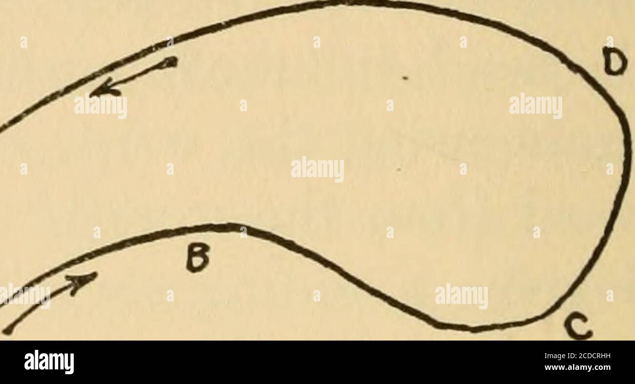 . Das Buch der Fische und der Fischerei; . Rd von der aufrechten zum Winkel von fünfundvierzig Grad, die Vermeidung von etwas in der Natur eines Rucks, und überprüfen Sie es. Die Linie wird vor Ihnen fliegen, und wenn nicht eine lange, wird das Ende von ihr zu derErde oder Wasser kommen (wenn auf dem Strom) vor jedem anderen Teil. In diesen schnellen Bewegungen des Handgelenkes liegt die Schwierigkeit des Fliegengießens, und die Bewegung ^^ ^^ ^^^ ^^^^^ ^^ haben eine Fliegenrute für einige Zeit benutzt, damit die Muskeln des Handgelenks richtig entwickelt werden und wir das Talent des Gießens gut erwerben. Geben Sie volle Zeit für die Linie hinter, bevor Sie die Stockfoto