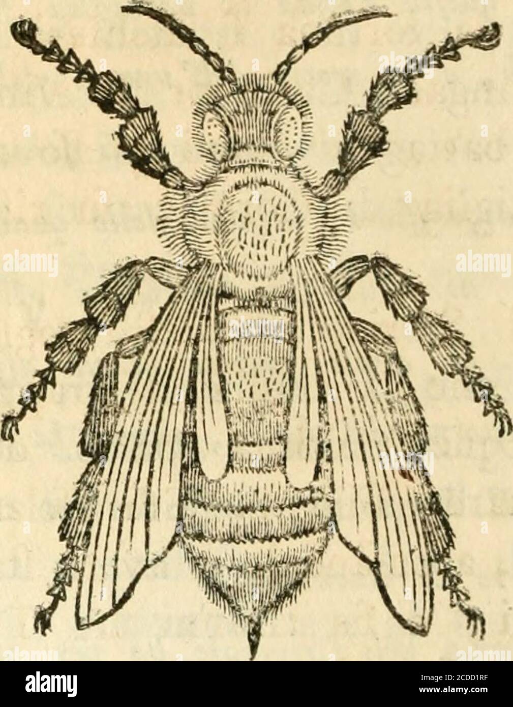 . Poesie di Ossian, figlio di Fingal, antico poeta Celtico, . il quale con qualche altro Fu V&tenuto a memoria da alcuni vecchi nel Nord delloScoria». LA ( - ì % ) d5 Animo, quanto Cairbar era infame perJa fua crudeltà e la firn, perfidia : ne pò*tea rimproverarfegli altro difetto , fé nonfé quello d efter troppo attaccato ad unfratello tanto diflbmigliante , e indegno dilui. Fingal e Cathmor Fi fecero la guerada veri Eroi , e gareggiarono non menodi generofità, che di valore . Dopo moltevicende , la fortuna Fi dichiarò interamen-te per Fingal. Cathmor Fu vinto in unadecifiva battaglia datafi Stockfoto