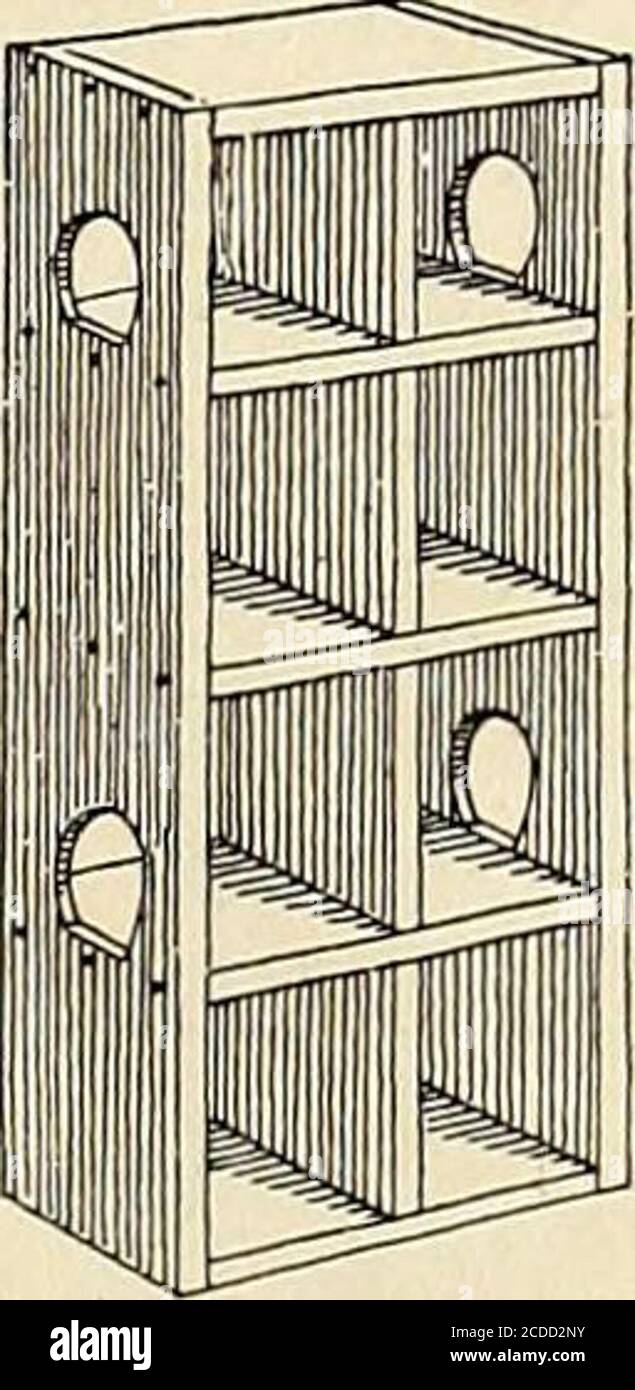 . St. Nikolaus [Serie] . ABB. I. ABB. 2. Eine NEUARTIGE VOGELKISTE. Hergestellt und die darin platzierten Hütten - ohne daß die Vögel sehr zahm sind und die Räumlichkeiten nicht durchlassen werden. Einige kleine taubenkotze sind in diesem Artikel abgebildet. In Abb. 5 eine cote mit drei Löchern ist abgebildet, die leicht aus dünnen Brettern hergestellt werden kann. Es kann 30 Zoll lang, 9 Zoll breit und 12 Zoll hoch auf der Rückseite messen, während an der Vorderseite das Brett mit den Löchern, die in ihm geschnitten werden, 9 Zoll breit sein kann, mit den Löchern 5 Zoll hoch und 4 Zoll breit. Das Holz wird als zusammengebaut. ABB. 3. Stockfoto