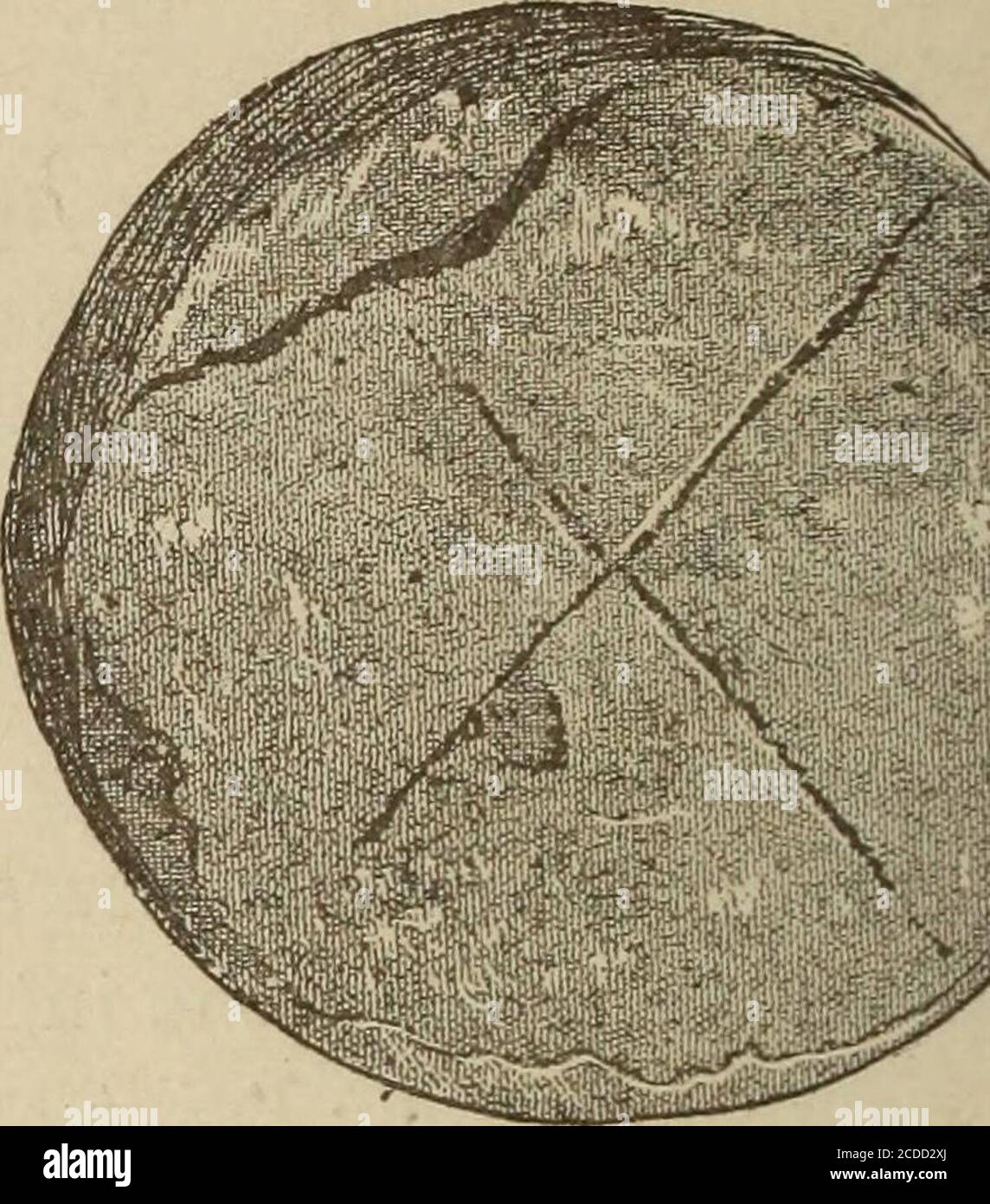 . Notizen von Standorten von Huron Dörfer in der Gemeinde Tiny, Simcoe County, und angrenzenden Teilen. Vorbereitet mit Blick auf die Identifizierung dieser Dörfer besucht und beschrieben von Champlain und den frühen Missionaren. Abb. 13. Abb. 14. Behalten ihre Form; Tonpfeifen von verschiedenen Größen und Formen, meist in Bruchstücken; Eisentomahawks in beträchtlicher Zahl; Glasperlen &gt; Stücke von Kupfer und Messingplatten (wahrscheinlich aus Kessel) in Knicken von einem Zoll bis sechs Zoll Größe; Zahllose Fragmente von gebrannter Keramik, aus gewöhnlichem grobem Ton; Fischschuppen; mehrere Knochenwerkzeuge und Ornamente. In Ord Stockfoto