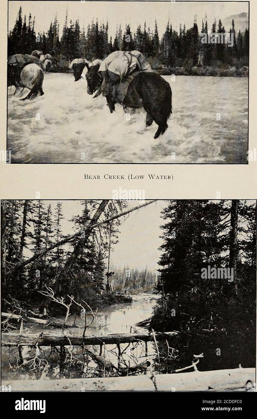 . Anstiege & Exploration in den kanadischen Rockies . bleierne Farbe; keine lichtdurchlässigen Wolken schwebten in der Luft oder rollten lazilyentlang der Flanken der Hügel; aber eine schmuddelige Graupall brütete monoton über die ganze Bergwelt. Als es in Intervallen aufging, hatten wir herrliche Peeps auf den Mount Forbes und die blaue Weite des Glacier Lake, die in einem tiefen Tal fast unmittelbar unter uns lag. Die Seewater, die vom riesigen Lyell-Gletscher absteigen, entleeren sich durch einen kurzen Bach in die Mittelgabel. Nach Süden konnten wir die kühnen Felsen und Schneespitzen, die sich um den Kopf von Bear Cre gruppieren, schwach sehen Stockfoto