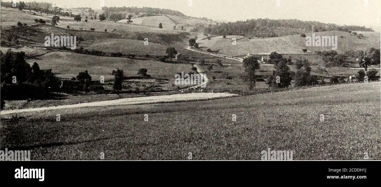 . St. Nikolaus [Serie] . EIN BLICK AUF DAS FOX-LAND. FOTOGRAFIEREN EINES WILDEN FUCHSES. Von Silas A. Lottridge. In den bewaldeten Bezirken des OtsegoCounty im Bundesstaat New York, westlich der Glim-Merglass, findet man eine große Anzahl von Füchsen. Die natürlichen Bedingungen für den Schutz und sogar die Zunahme dieser Arten des wilden Tieres gibt dort zu einem bestimmten Grad.Obwohl der Holzmann greathavoc unter den Kiefern, Hemlocks und Brustnüsse gearbeitet hat, die einmal die hohen Hügel des DIS-trict bedeckten, können hier und dort sogar jetzt akomparativ großer Wald gefunden werden. Der Boden, als er geräumt wurde, Stockfoto