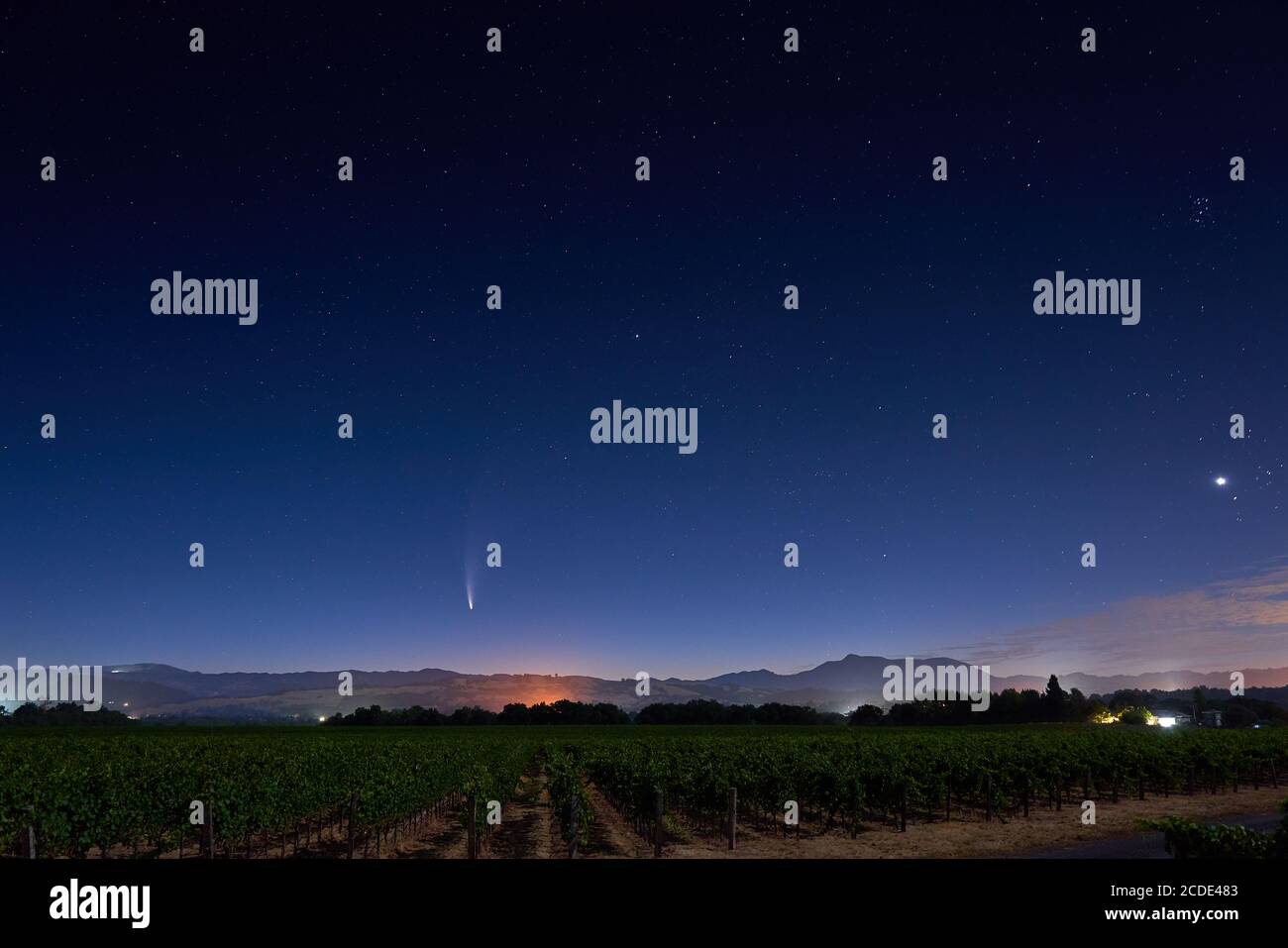 Komet Neowise im Nachthimmel im Juli von einem ländlichen Weinberg in Healdsburg mit dem Mount St. Helena im Hintergrund gesehen. Stockfoto