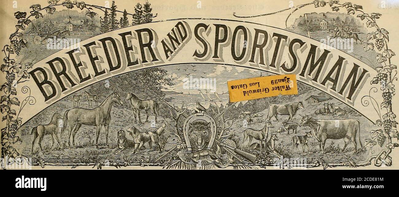. Züchter und Sportler . Ich Bester Durchschnitt – drei (ia;e in Kansas City, AP.il 25-29-won von Goto DUST 368 von 400. Clabrough, Golcher & Co. GUNS .^^^^ FISHINGUN goods ^^^^^^ Tackle «-Sen(i(ORC:t.-.ogiie. 538;iVIARKET STREET, S. F. OUARAXTEED nie lose mit einem Oitro pudermade schießen. AKTHUK WEBB broke9S Tareets Hafer von 100 mit Hallo? Neu I.. C. SMITH Gun beim Alert GunClub Shoot, Birds Point, 2. April 18S9. L. C. SMITH Gons werden hergestellt und garantiert von der HUNTER ARMS CO. FULTON N Y. PHIL. B. BEEISAKT, Pazifikküste repräsentative - - - San Francisco, Cal FISHING TACKLE ^,^^^C. GUN GO Stockfoto