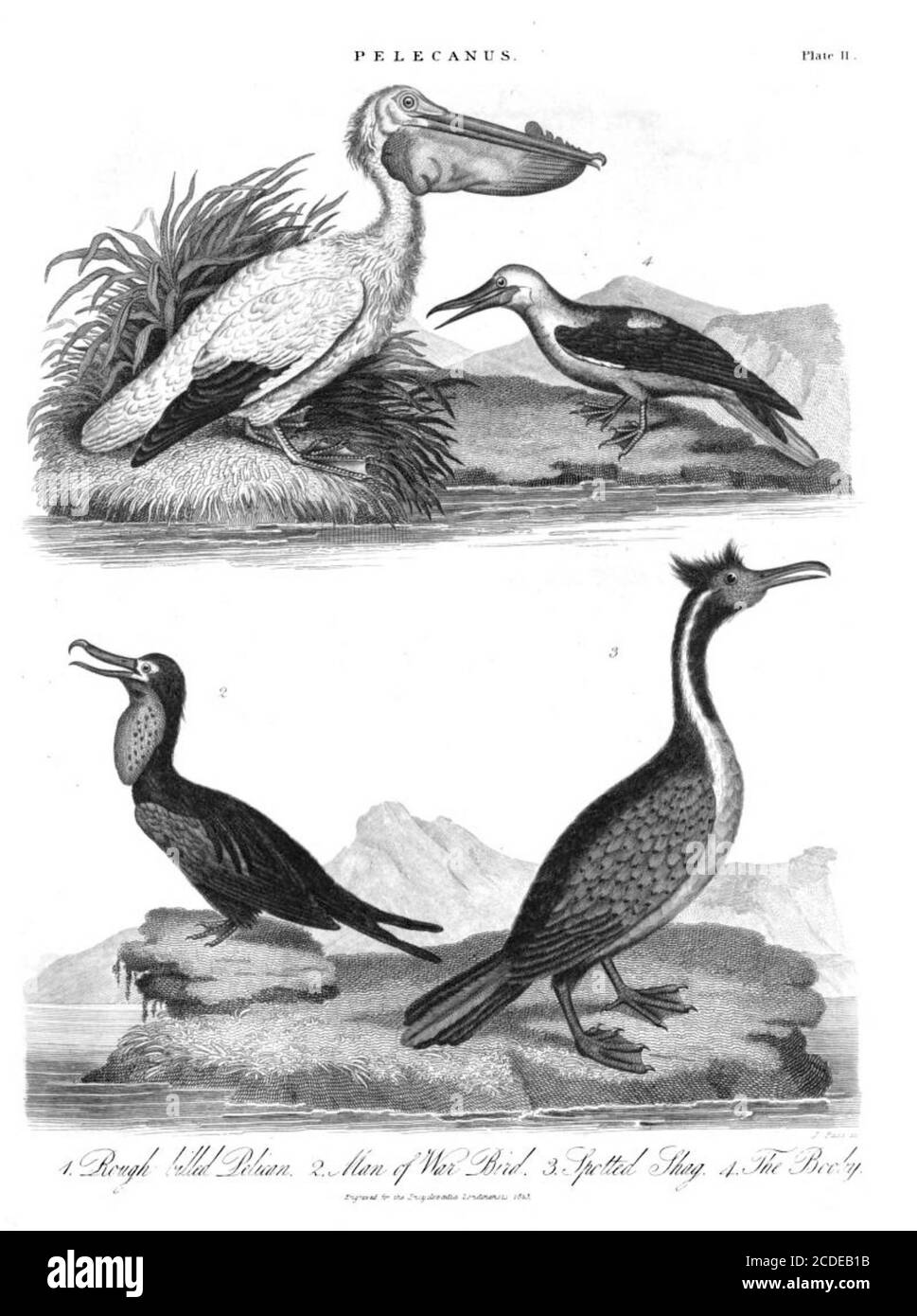 Kupferstich aus der Encyclopedia Londinensis oder, Universal Wörterbuch der Künste, Wissenschaften und Literatur; Band XIX; herausgegeben von Wilkes, John. Veröffentlicht 1823 in London Stockfoto