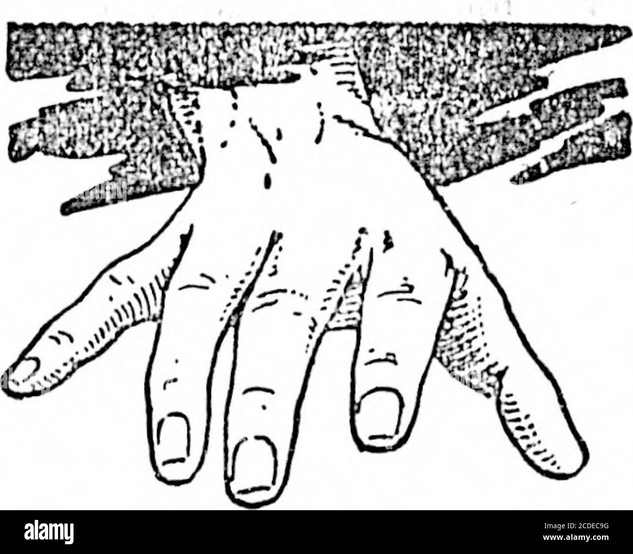 . Täglicher Kolonist (1896-10-16) . Unterer der H. B. Co.s packen Züge. DIE SOTITH-WEST KOOTENAY UND OSOYOOS Divisiona des Yale Distrikts, British Columbia, sind nach dem bisherigen Erz-Prcducta der Minen in den nächsten ein oder zwei Jahren dazu bestimmt, die reichsten und wichtigsten Mineralzentren der Welt zu sein. Zum Verkauf-20,000 Hektar Ackerland in^ coisrmo-TJOTJs blutigen. Wunderschön bewässert, bilden eines der schönsten Anwesen in der Provinz; Haus und Bauernhof Gebäude; 2,000 Kopf frinder; 50 bis 80 Pferde; einfache Annäherung; gute Straßen; Eisenbahnen projiziert auf Eigentum und das Anwesen ist inclose p Stockfoto