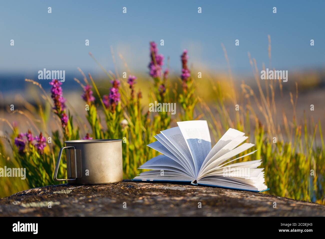 Buch mit einer Tasse Tee auf einem Hintergrund von Blumen im Freien. Meereshintergrund verschwommen Stockfoto