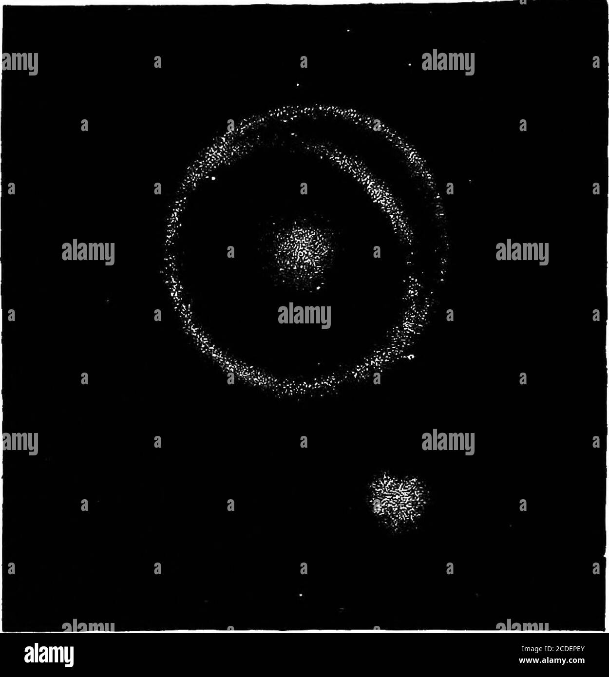 . Astronomie für Studenten und allgemeine Leser . mbered, dass es eine fast unendliche Vielfalt solcher Formen. Die Figur von Sir John Herschbl auf der nächsten Seite gibt eine Goodidea eines Spiral- oder Ringnebels. Es hat einen zentralen Kern und einen kleinen und hellen Begleitennebel in seiner Nähe. In einem größeren Teleskop ist der Aspekt von Herschels noch komplizierter. Siehe auch Abb. 138. 460 ASTBONOMT. Der Omega- oder Jvorseshoe-Nebel, so genannt aus der Ähnlichkeit des hellsten Endes von ihm zu einem griechischen S2 oder zu einem Eisenschuh des Pferdes, ist einer der komplexesten und bemerkenswertesten der Nebel, die im nördlichen Hemisph sichtbar sind Stockfoto