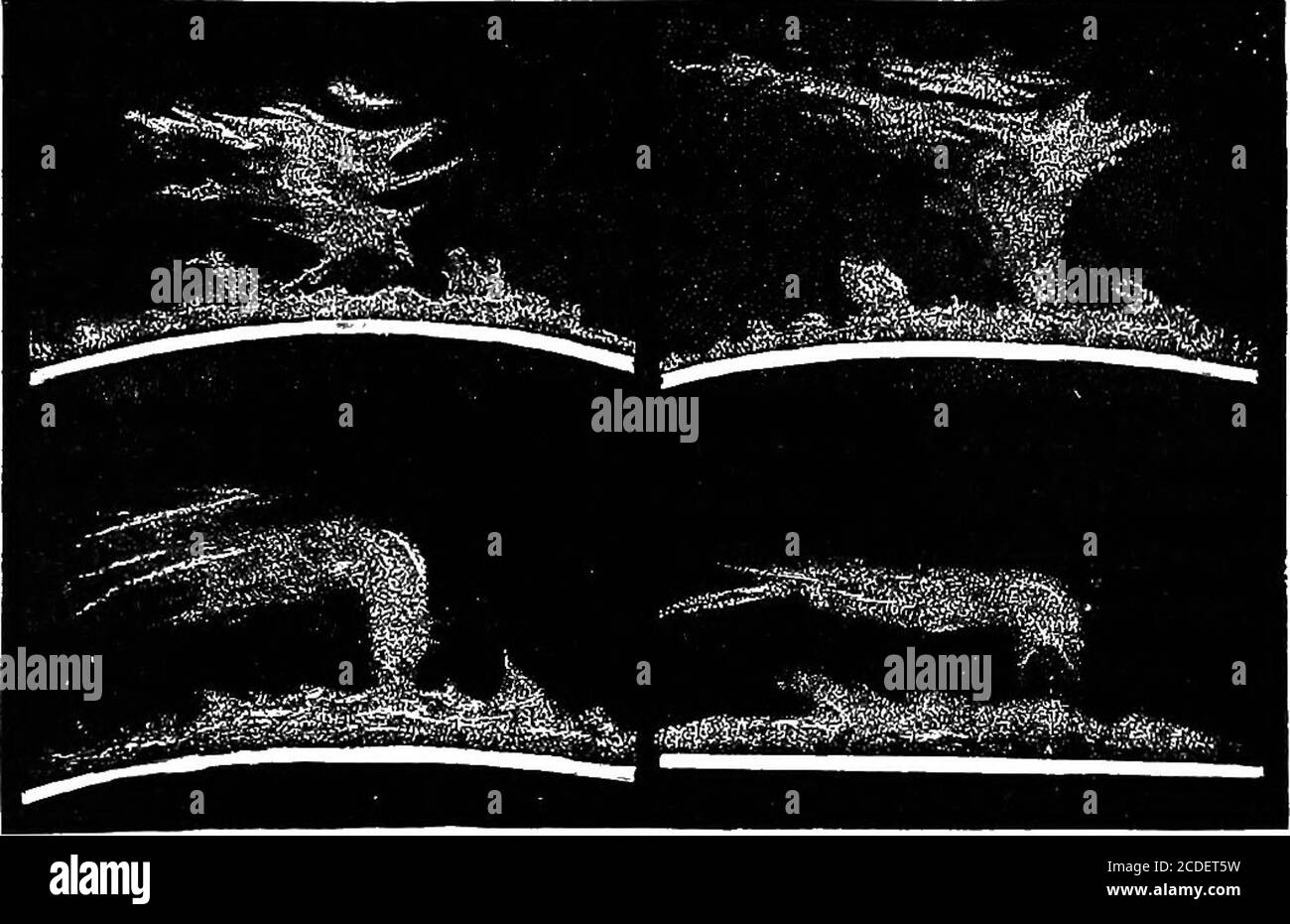 . Astronomie für Studenten und allgemeine Leser . FIQ. 83. – Sonnen-Korona während der Sonnenfinsternis vom 29. JULI 1878. DIE SONNEN PROMINENZEN. Bis 303 Uhr. Es gab andere von verschiedenen und möglicherweise varyingshapes, und die Basen von diesen wurden durch ein Lowband des gezackten rosarote Lichtes verbunden. Einer dieser Protu-Beranzen wurde gezeigt, dass er ganz über der Sonne liegt, als er in seiner Atmosphäre iffloating. Um die ganze Festplatte der Sonne existiert ein Ring ähnlicher Natur zu den prominencesexists, der heller als die Corona ist, und scheint toform eine Unterseite für die protuberances selbst; dieses ist die sierra. Einige der roten Ilames w Stockfoto