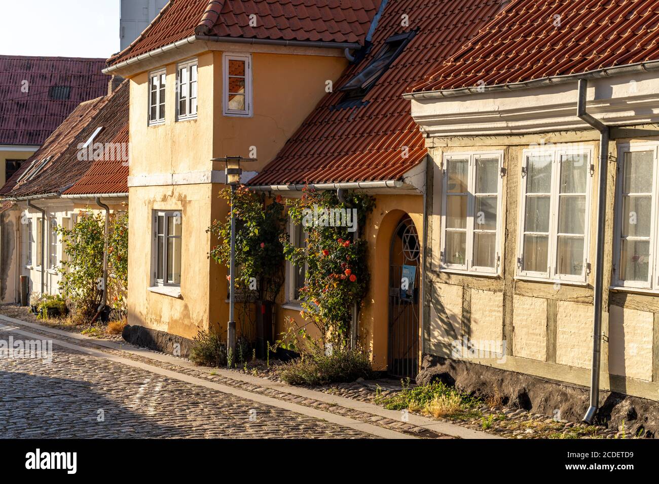 Gasse in der Innenstadt von Rudköbing, Insel Langeland, Dänemark, Europa Stockfoto