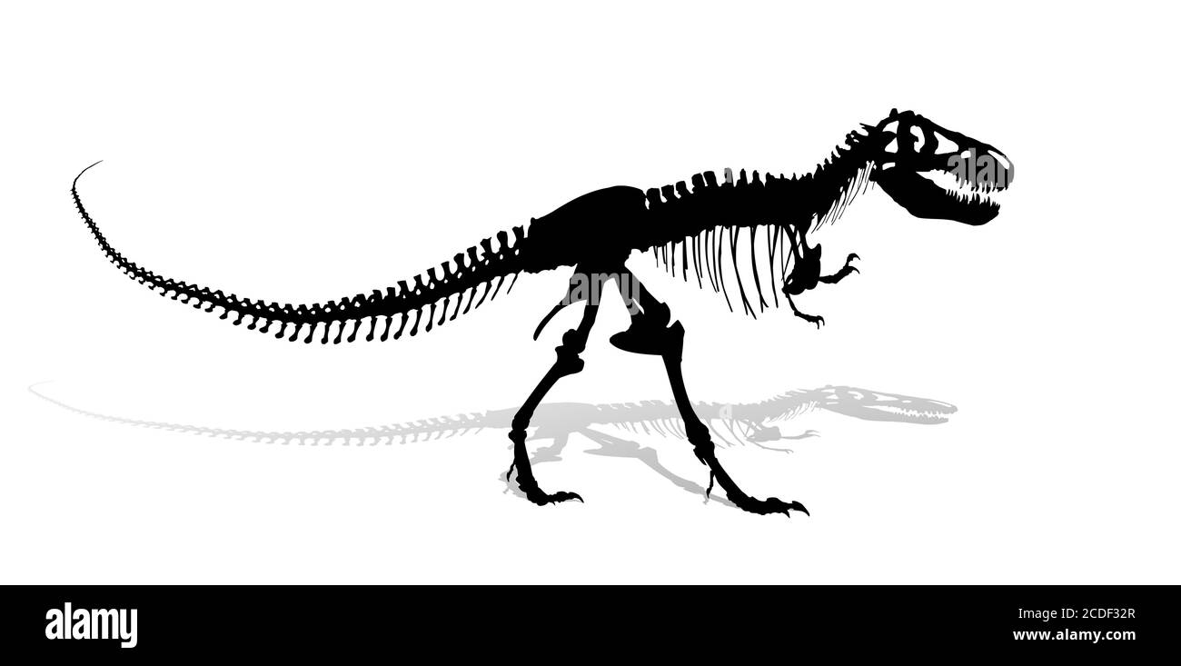 Das Skelett des alten großen Dinosauriers. Stock Vektor