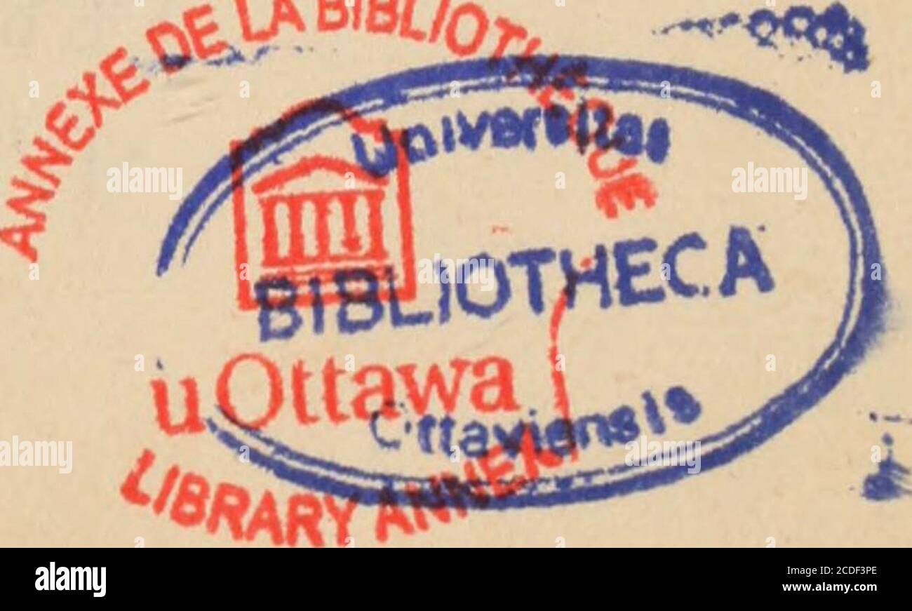 . Circulaires au clergé du diocèse d'Ottawa, 1874-1909 . BOX POS C 333 02 07 07 24 02 7. *»W., **&** ***•* , ^.l** *^ «l/9«d,0f^ 9A5 fcx ),H 4ième Série – Nr. 1.Trahe nos Virgo Immaculata. LETTRE PASTORALE – ET – MANDEMENT – DE – I0SKI1 JOSEPH THOMAS DOUA! UllillllLiL annonçant lérection dOttawa.en Métropole, etc. JOSEPH THOMAS DUHAMEL Par la Grâce de Dieu et du Saint-Siège apostolique, Archevêque dOttawa, Assistant au Trône Pontifical, etc. Au Clergé Séculier et Régulier, aux CommunautésReligieuses et aux Fidèles de larchidiocèsedOttawa, Salut et Bénédiction en Notre-Seigneur. Nos Très Chers Stockfoto