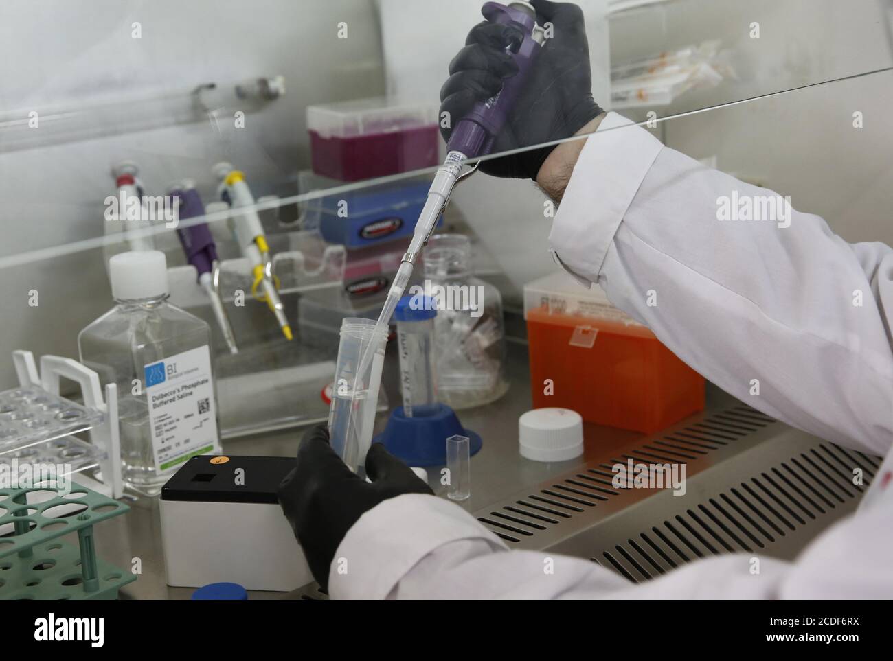 Ramat Gan. August 2020. Ein israelischer Wissenschaftler führt am 27. August 2020 im Sheba Medical Center in der zentralisraelischen Stadt Ramat Gan einen sofortigen Detektionstest für COVID-19 durch. Kredit: Gil Cohen Magen/Xinhua/Alamy Live Nachrichten Stockfoto