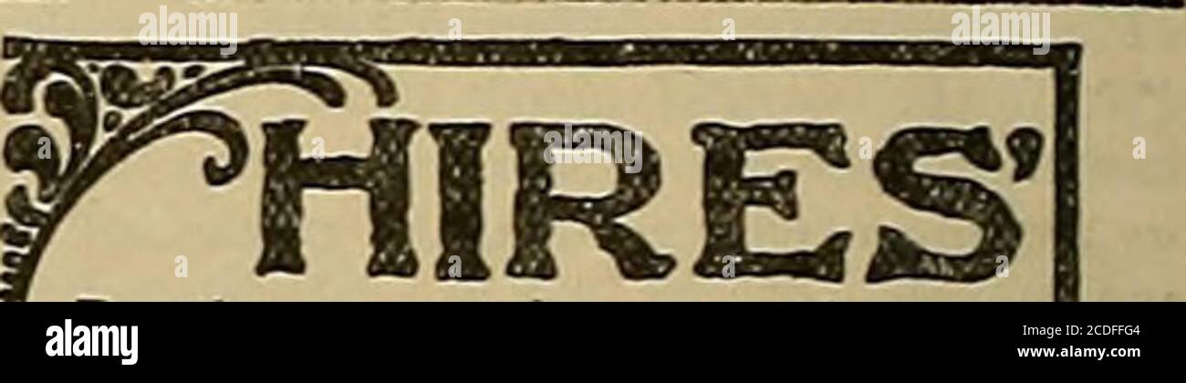 Elfenbein Gürtel Stockfotos Und -Bilder Kaufen - Alamy