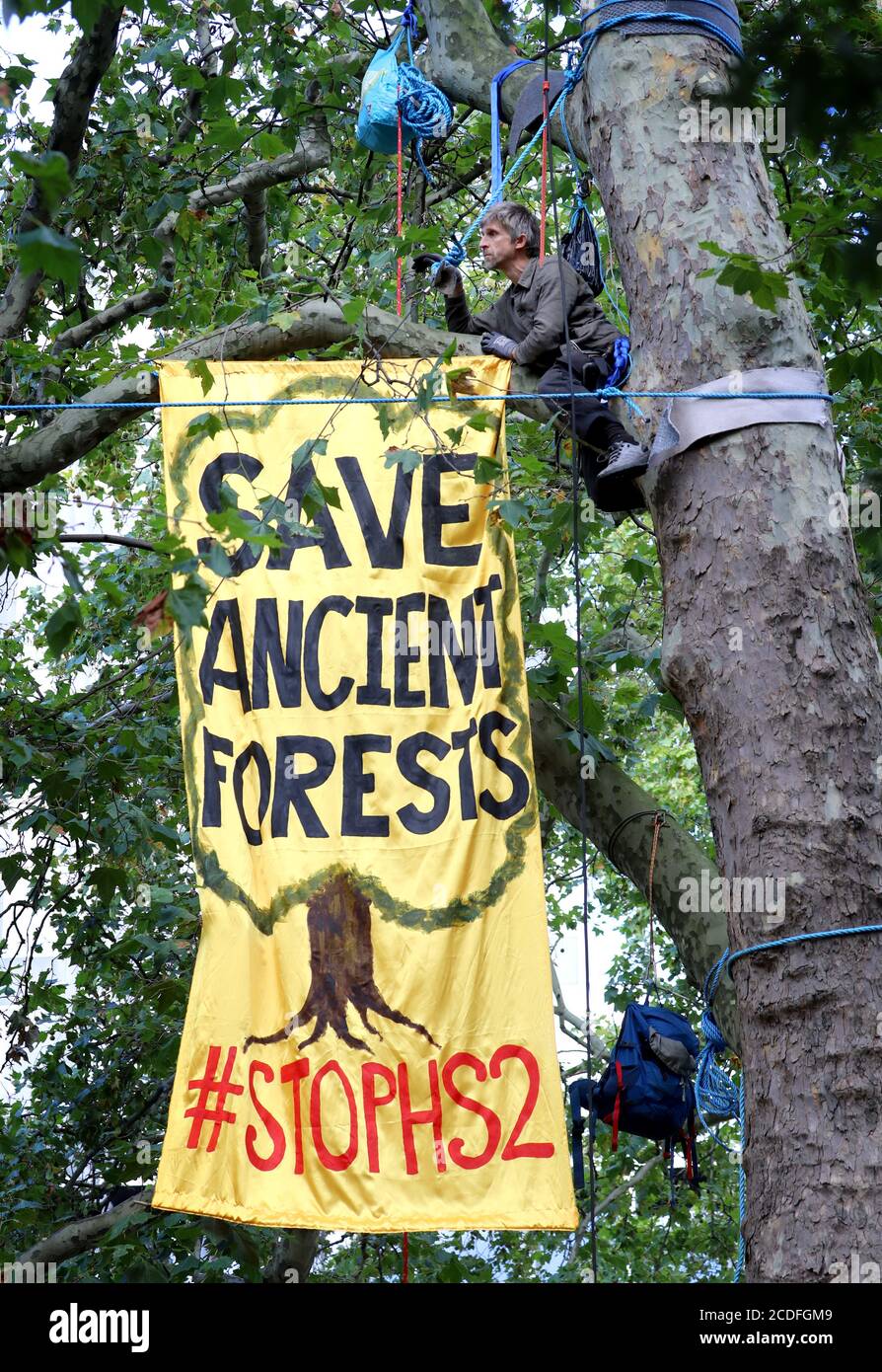 Ein Stop HS2-Aktivisten entrollt ein Banner in Bäumen vor der Euston Station in London, als Aktivisten ein Lager innerhalb der Bäume als Teil des breiteren Extinction Rebellion Wochenende der Aktion im ganzen Land aufsetzten. Stockfoto