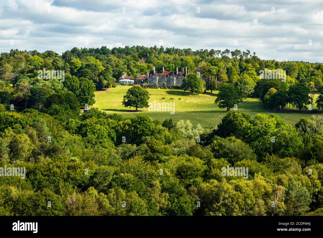 Blick auf den Pippingford Park im Ashdown Forest East sussex Mit Pferden auf dem Rasen grasen Stockfoto