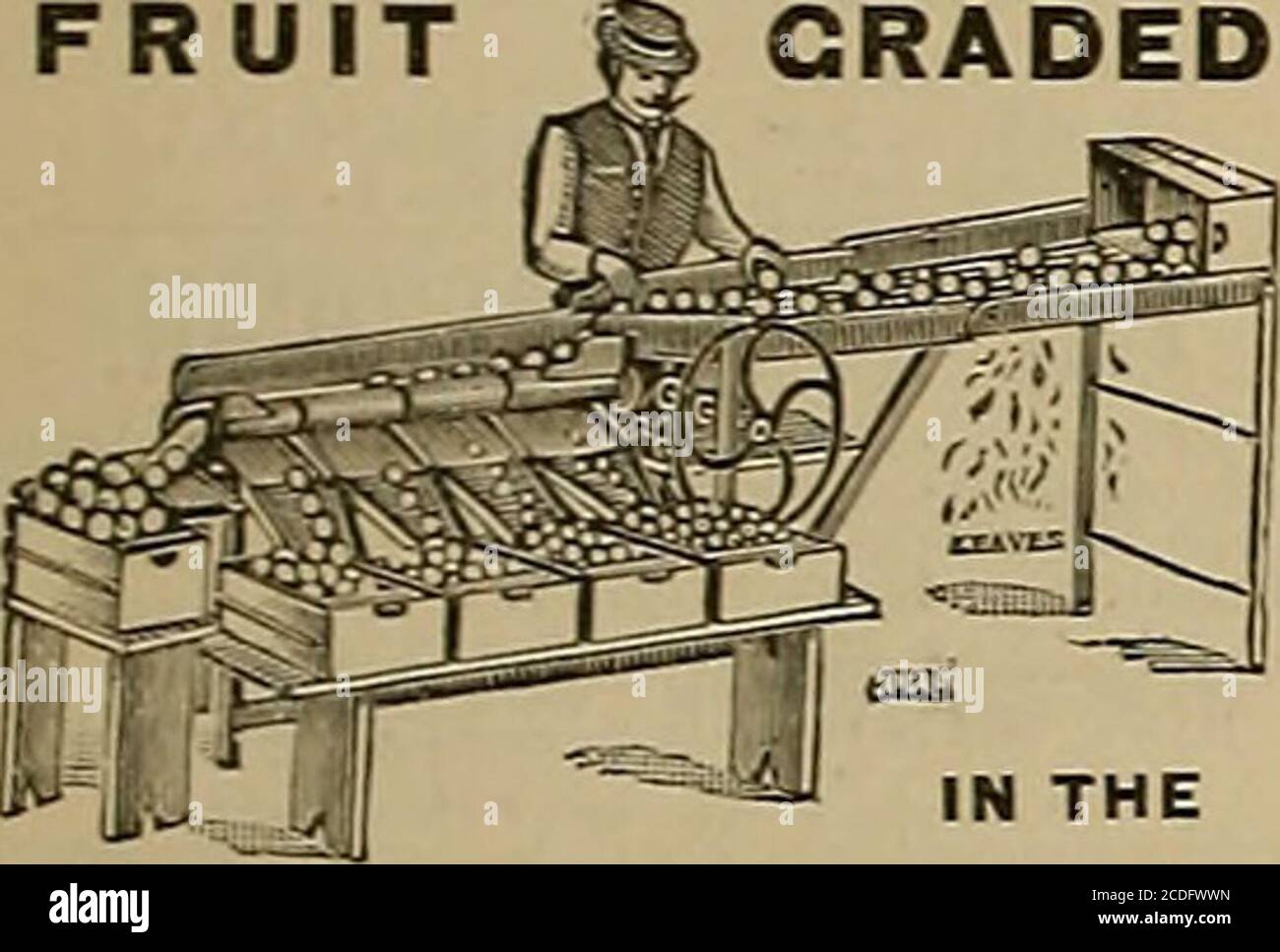 . Der Argonaut. Tchkoff Palast, st. Petersburc, sofort, ein Dutzend Vin mariani, forher imperiale Majestät, em-Presse von russland. Von den Gerichtsärzten angeordnet. 1 IN einem nachfolgenden Schreiben, R&gt;rdering eine weitere sur-ly von fünfzig Flaschen Yin Hariani, heißt es, dass I.M. die Kaiserin von Russland hat den größten Nutzen aus ihrer Verwendung abgeleitet. VIN MARIANI der ideale Tonic Wine. Stärkt, nährt und stimuliert Körper und Gehirn. Es stellt Gesundheit, Kraft, Energie und Vitalität wieder her. Atom-Substitutionen. Aikfor Via MarUnl überhaupt DL für Beschreibungsbuch mit Portraits und testi-mony der notierten Berühmtheiten^ schreiben an MA Stockfoto