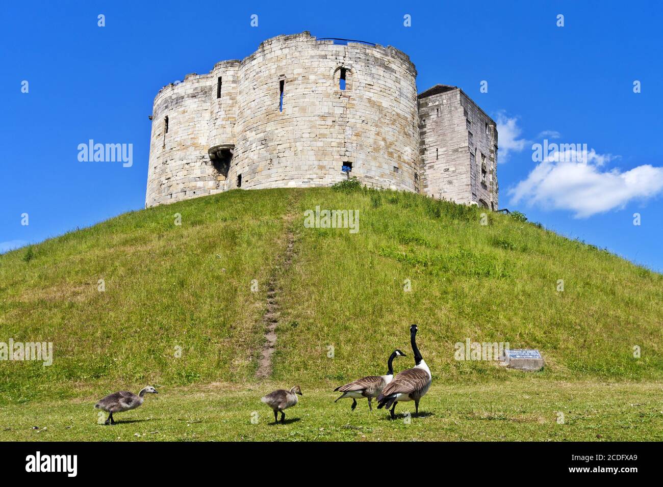 Clifford's Tower in York, England Stockfoto