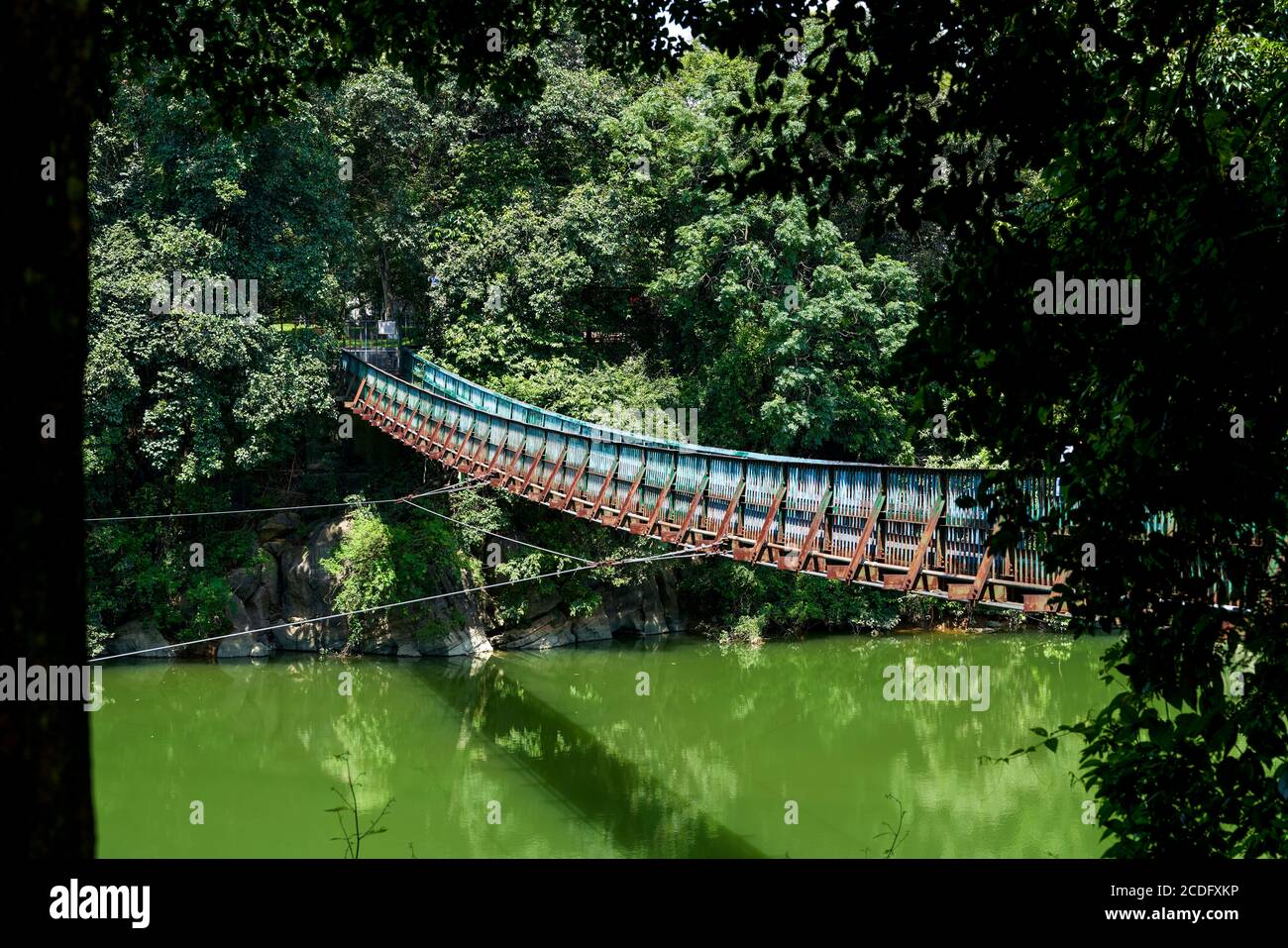 Eine hölzerne Hängebrücke über den Fluss im Wald Stockfoto