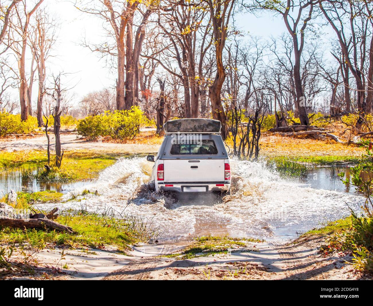 Geländewagen, die Wasser auf Safari Wildfahrt im Chobe National Park, Botswana, Afrika fording. Stockfoto