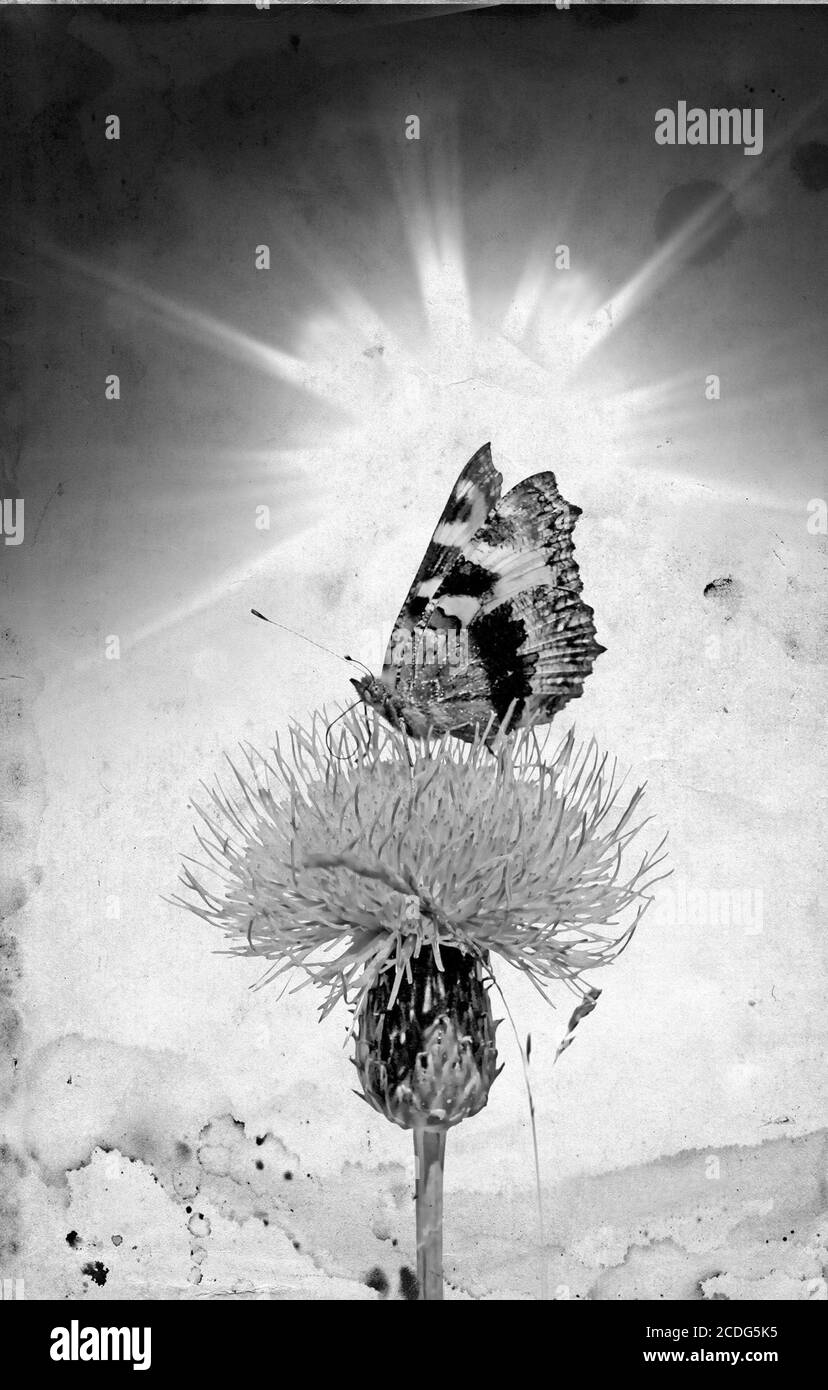 Grunge Hintergrund Stockfoto