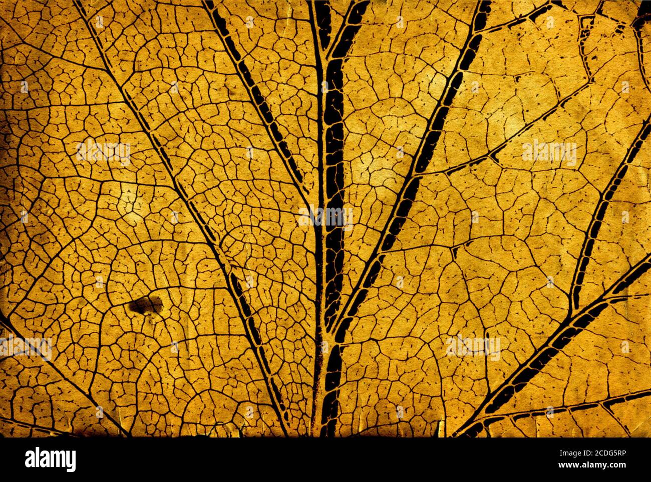 Seite des alten Buches Stockfoto