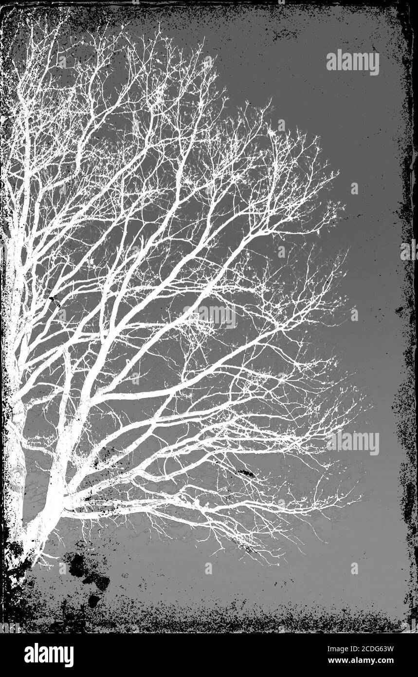 Grunge Hintergrund Stockfoto