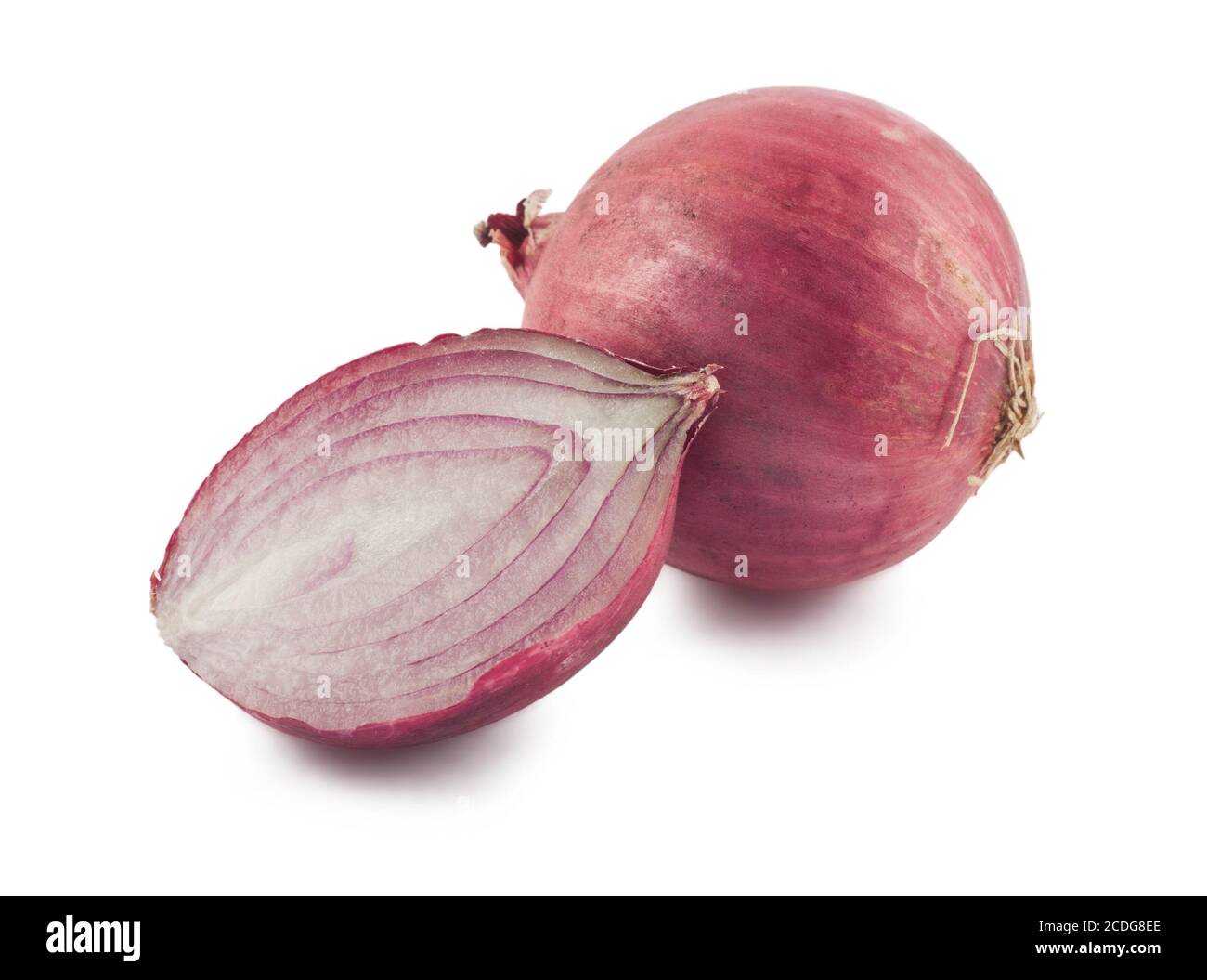 Rote Zwiebel Stockfoto