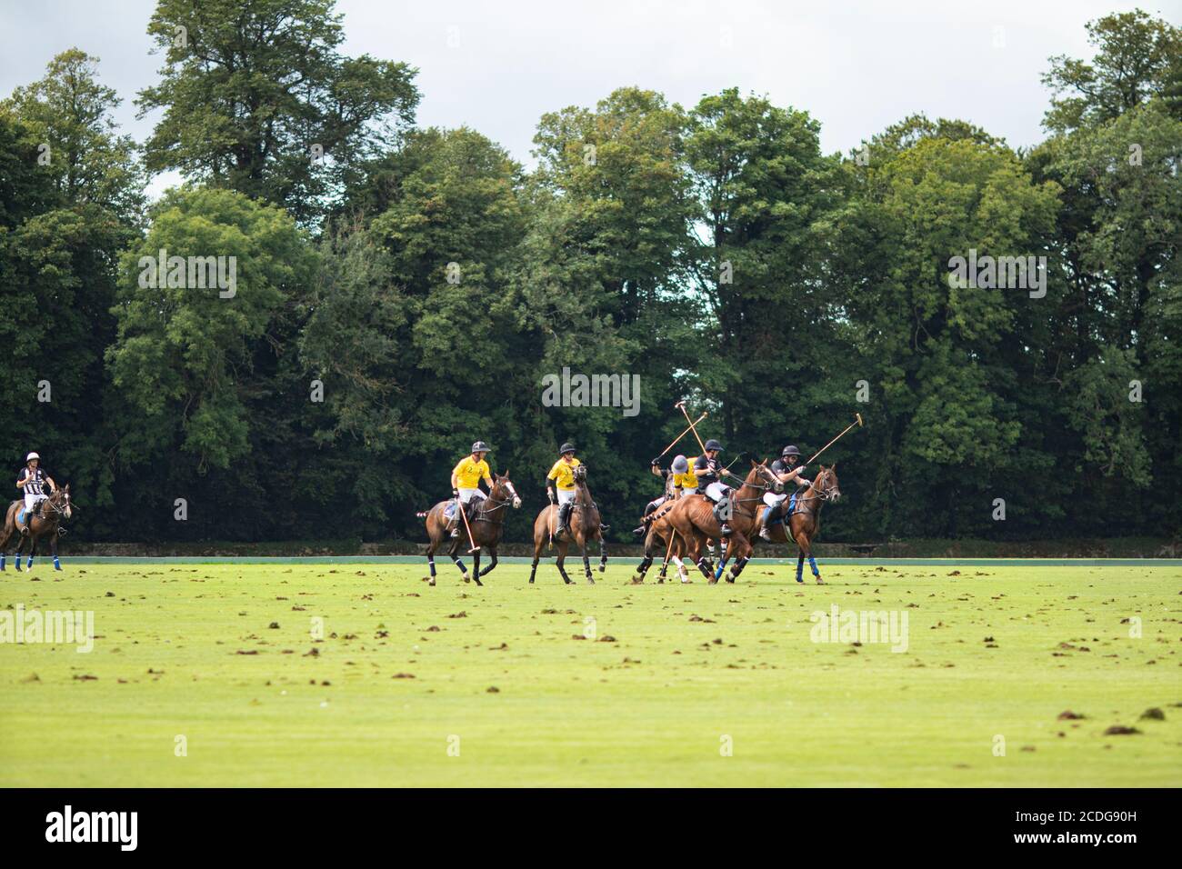 Polo-Spieler, die an einem Wettkampfspiel im Cirencester Park in Gloucestershire teilnehmen. Bekannt als "der Sport der Könige". Ein Spiel besteht aus 8 Chukkas. Stockfoto