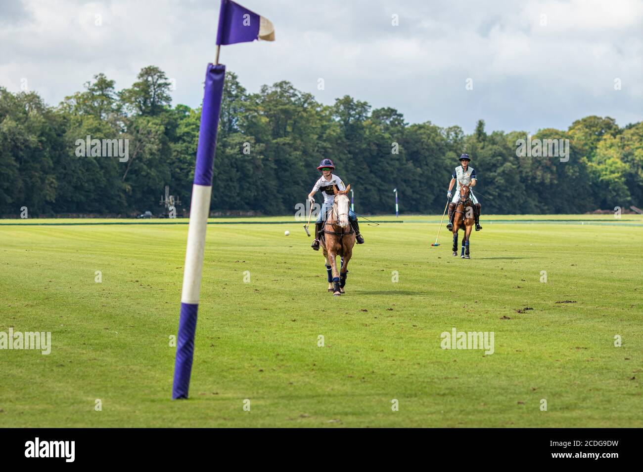 Polo-Spieler, die an einem Wettkampfspiel im Cirencester Park in Gloucestershire teilnehmen. Bekannt als "der Sport der Könige". Ein Spiel besteht aus 8 Chukkas. Stockfoto