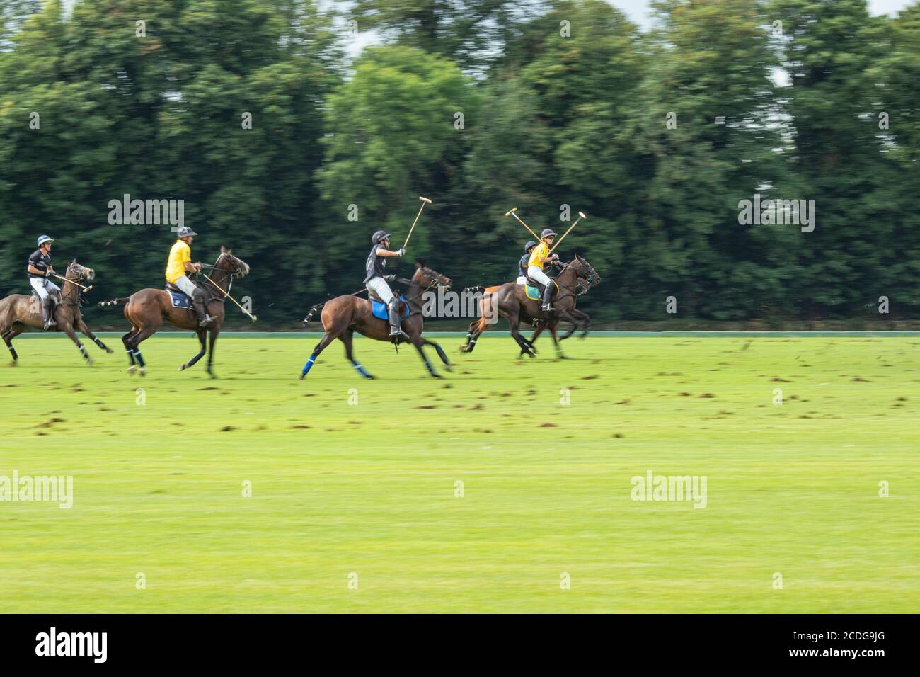 Polo-Spieler, die an einem Wettkampfspiel im Cirencester Park in Gloucestershire teilnehmen. Bekannt als "der Sport der Könige". Ein Spiel besteht aus 8 Chukkas. Stockfoto