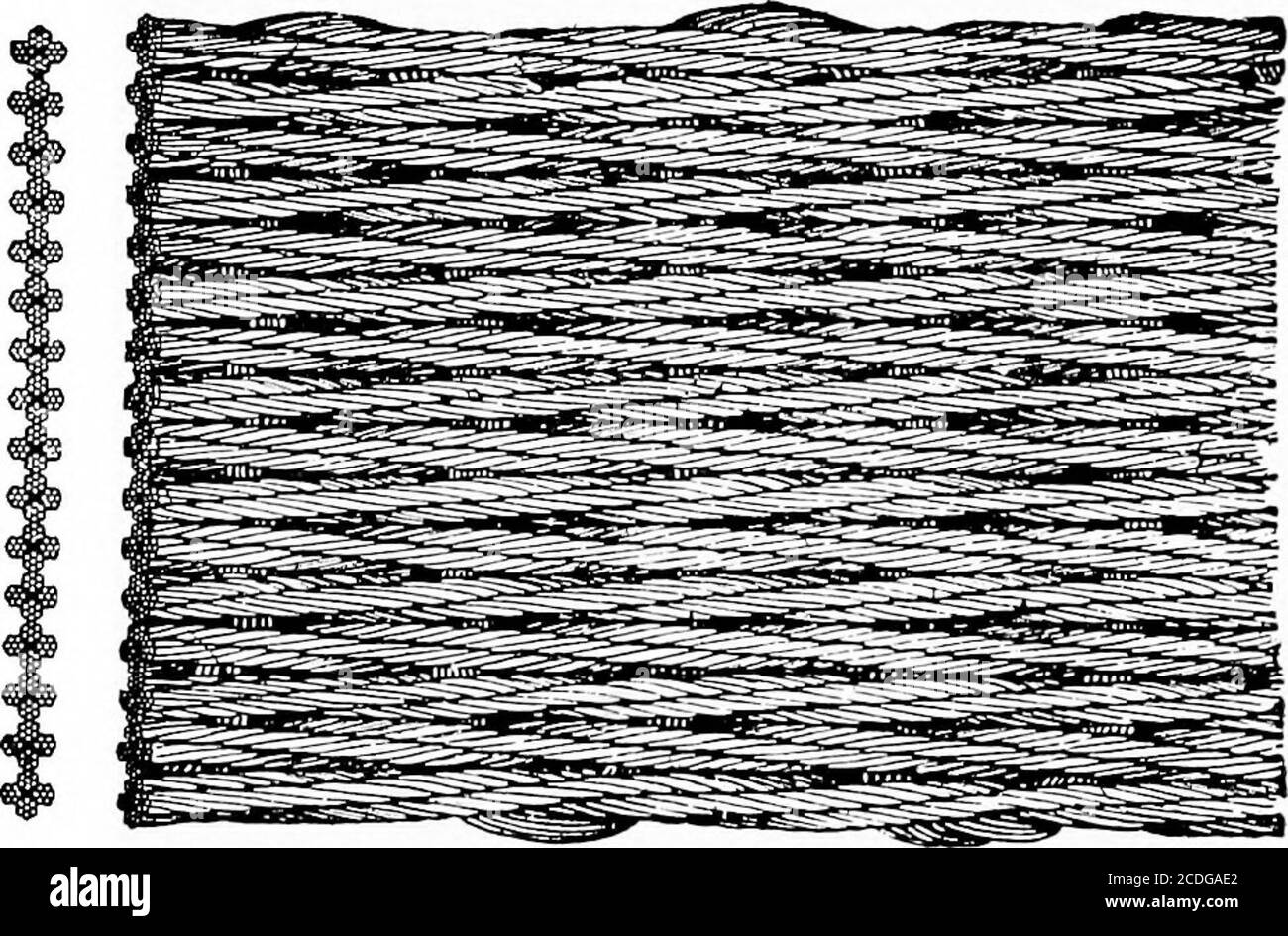 . Material Handling Cyclopedia; ein Nachschlagewerk, das Definitionen, Beschreibungen, Illustrationen und Methoden der Verwendung von Material Handling Maschinen in der Industrie eingesetzt. Locked-Coil Track Kabel mit ausreichend kleinem Durchmesser, damit die Seilbahnwagen über sie fahren können. Flachseil Flachseil wird hauptsächlich zum Heben verwendet, besonders wünschenswert, wenn ein großes und langes Seil zum Heben schwerer Lasten aus tiefen Wellen benötigt wird, da es sich nicht dreht oder verdreht. Es wird auch für den Betrieb Sputson Kohle oder Erz Docks und andere ähnliche Zwecke verwendet. Es besteht aus einer Reihe von Runddraht Stockfoto