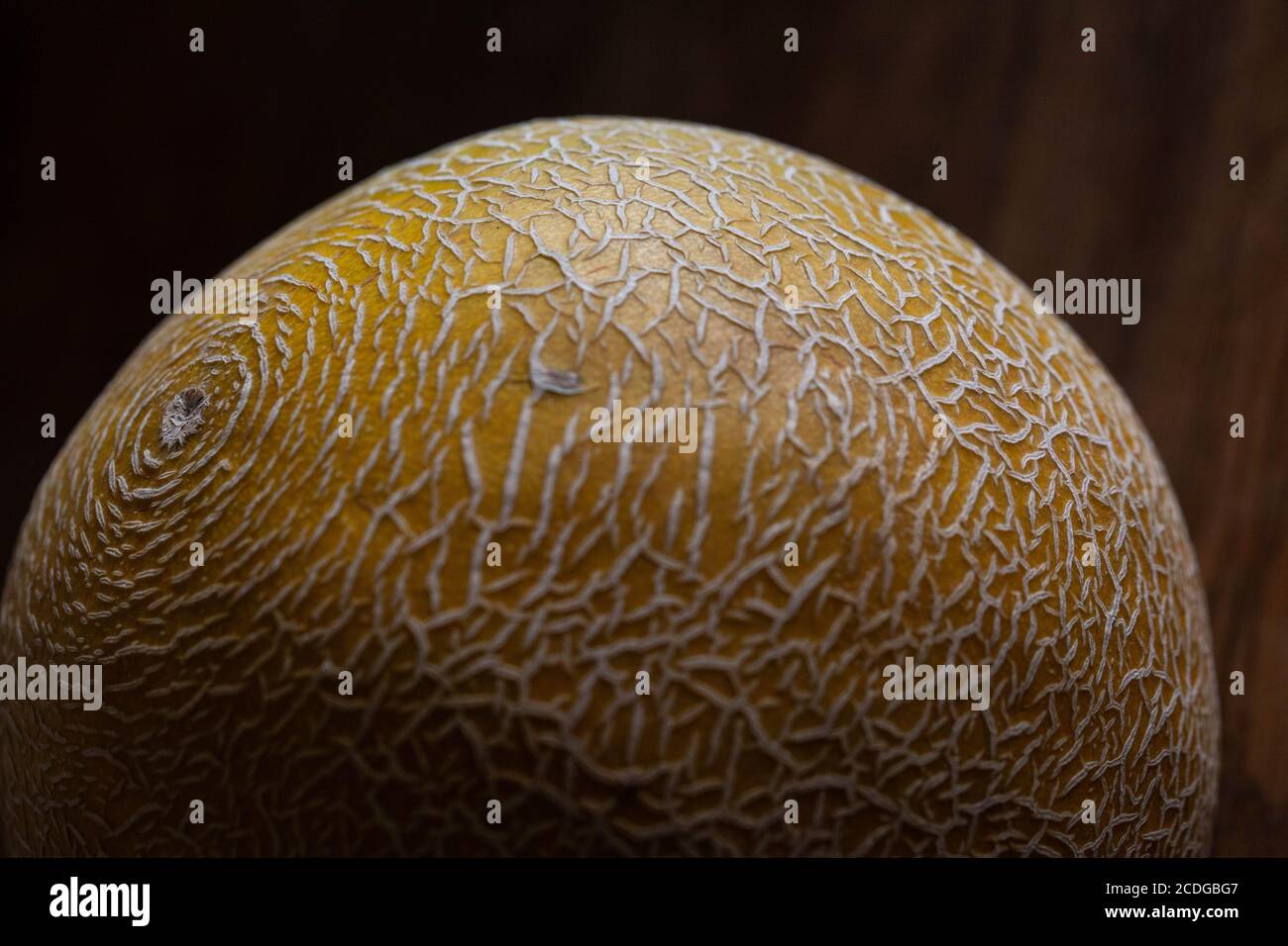 Eine Nahaufnahme der groben Netzrinde einer Galia-Melone. Stockfoto
