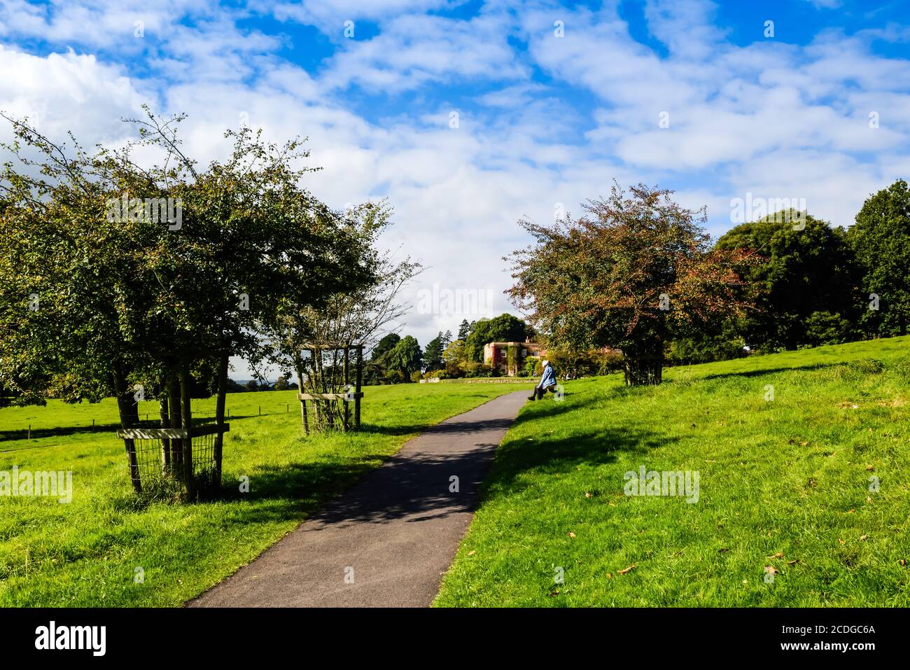 Killerton National Trust House and Garden in Devon. Stockfoto