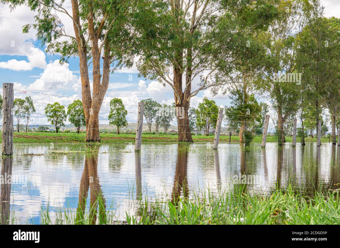 Überflutete Gewässer bedecken einen Straßenrand und spiegeln Bäume und Zäune im ruhigen Wasser wider. Eine dramatische, ruhige Aufnahme von ländlicher Überschwemmung und ruhigen Spiegelungen. Stockfoto