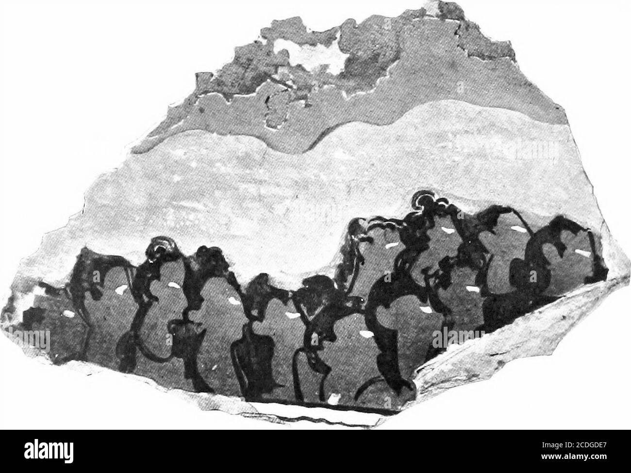 . Der Palast von Minos: Ein vergleichender Bericht der aufeinanderfolgenden Stadien der frühen kretischen Zivilisation, wie durch die Entdeckungen an Knossos veranschaulicht. L über den Pillar Crypts, Zu denen die großen Säulen gehörten, die oben illustriert wurden.^ das exquisite Finish dieses Werkes ist unübertroffen von jedem minoischen gemalten Relief, von dem Reste erhalten geblieben sind, Und die sorgfältige Wiedergabe der kleinsten Details vielleicht im Vergleich mit dem der besten Miniatur-Fresken der folgenden S. 442, Feige. 318. M. M. Ill: MINOISCHES FRESKO: WANDMALEREIEN, ETC. 527 Epoche. Die Farben sind außergewöhnlich gut Stockfoto