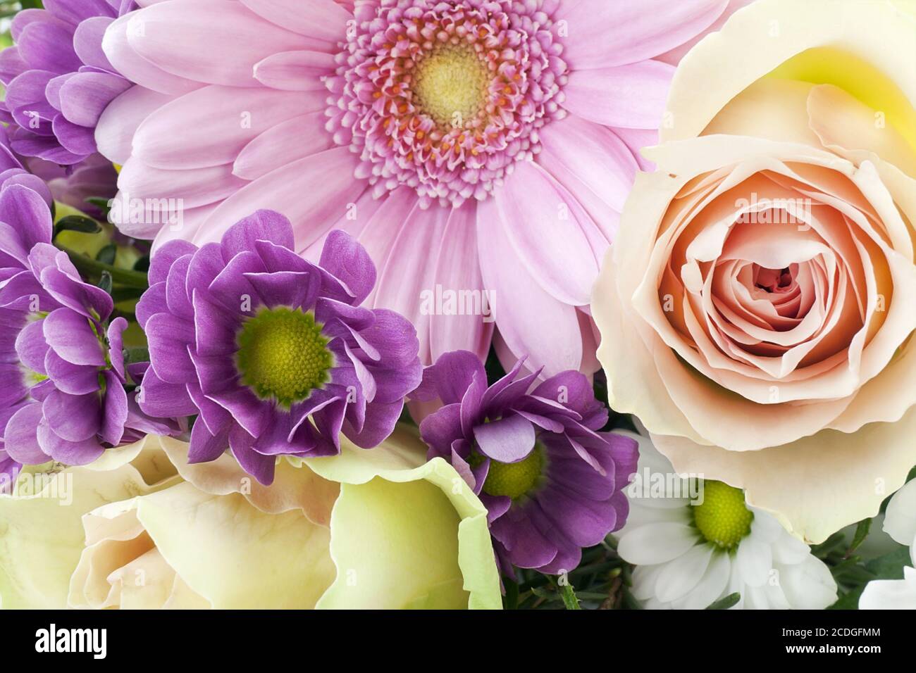 Blumen für die Freundin Stockfoto