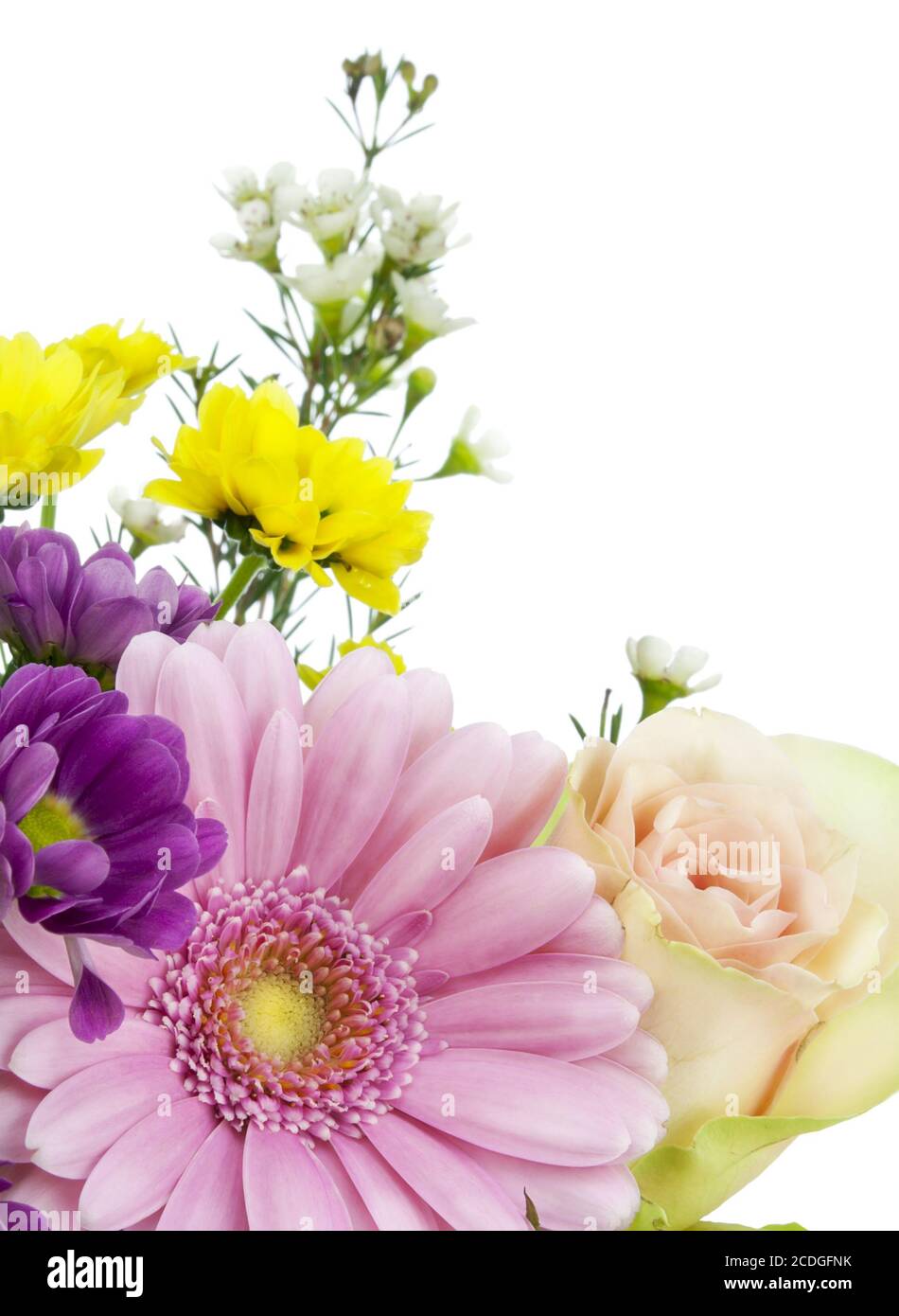 Blumen für die geliebte Postkarte Stockfoto