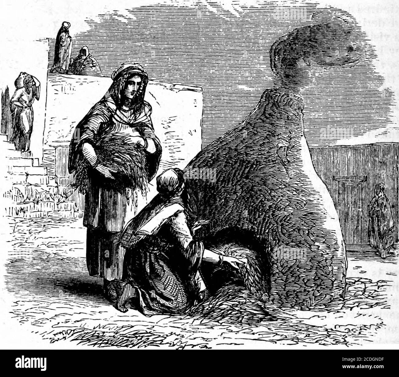 . Ein Wörterbuch des religiösen Wissens [elektronische Ressource]: Für den populären und professionellen Gebrauch, umfassend vollständige Informationen über biblische, theologische und kirchliche Themen . Ion.1 dass Christus durch die Schlange, das universelle Symbol des Bösen dargestellt werden sollte,und die Darstellung von Satan,2 hat einige der Kommentatoren plexed. Der truekey zur Erklärung wird durch die Erklärung des Apostels Paulus gewährt, dass er nur von einem mann sprechen, der sein Brot verdient, d. h., seine Subsistenz.1 Brot in seinem eigentlichen Sinne war im Allgemeinen ofwheat; aber Gerste und andere Arten von Körnern wurden auch verwendet, ein Stockfoto