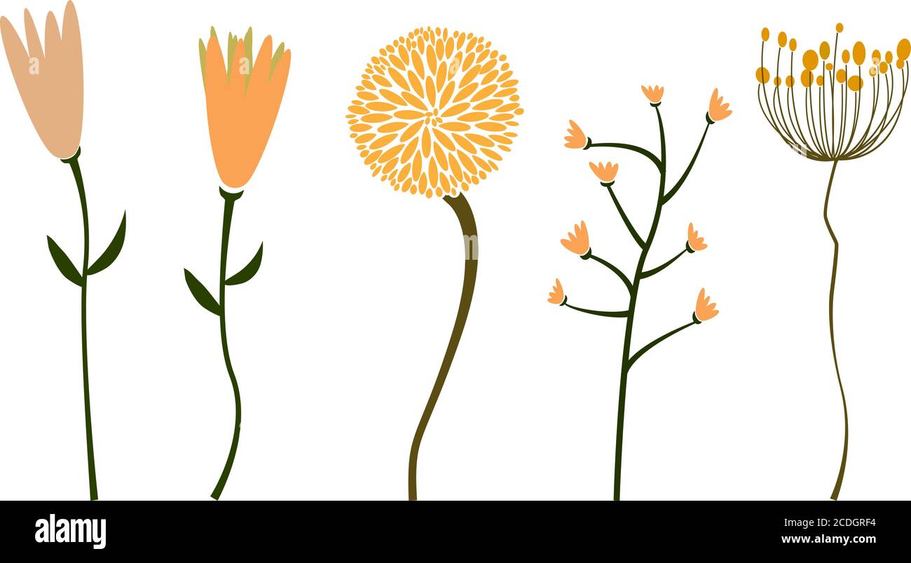 Sammlung von abstrakten Blumen isoliert auf weißen Vektor-Illustration Stock Vektor