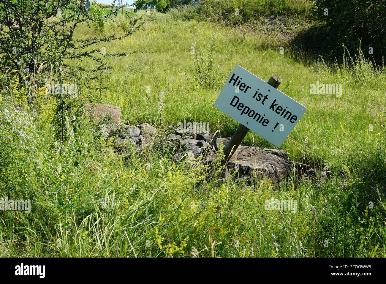 Warnschild in deutscher Sprache, hier ist kein Dumpingplatz, zwischen Steinen und Gras gelegen. Alarmtafel hat rechteckige Form, ist aus Holz. Stockfoto