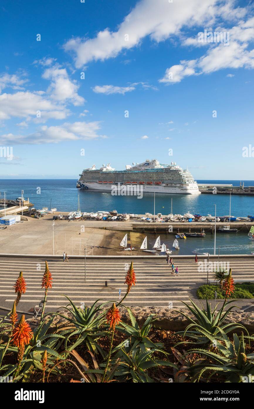 Portugal, Madeira, Funchal, Blick auf Kreuzfahrtschiff im Hafen Stockfoto