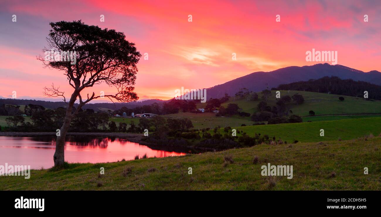 Mt Dromedary in der Nähe von Tilba in Australien Stockfoto