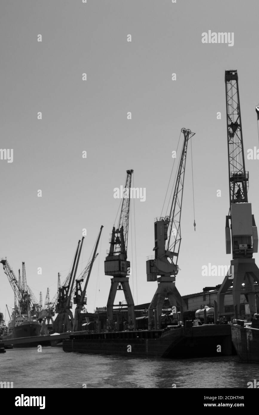 Frachtkrane, Hamburg, Deutschland Stockfoto