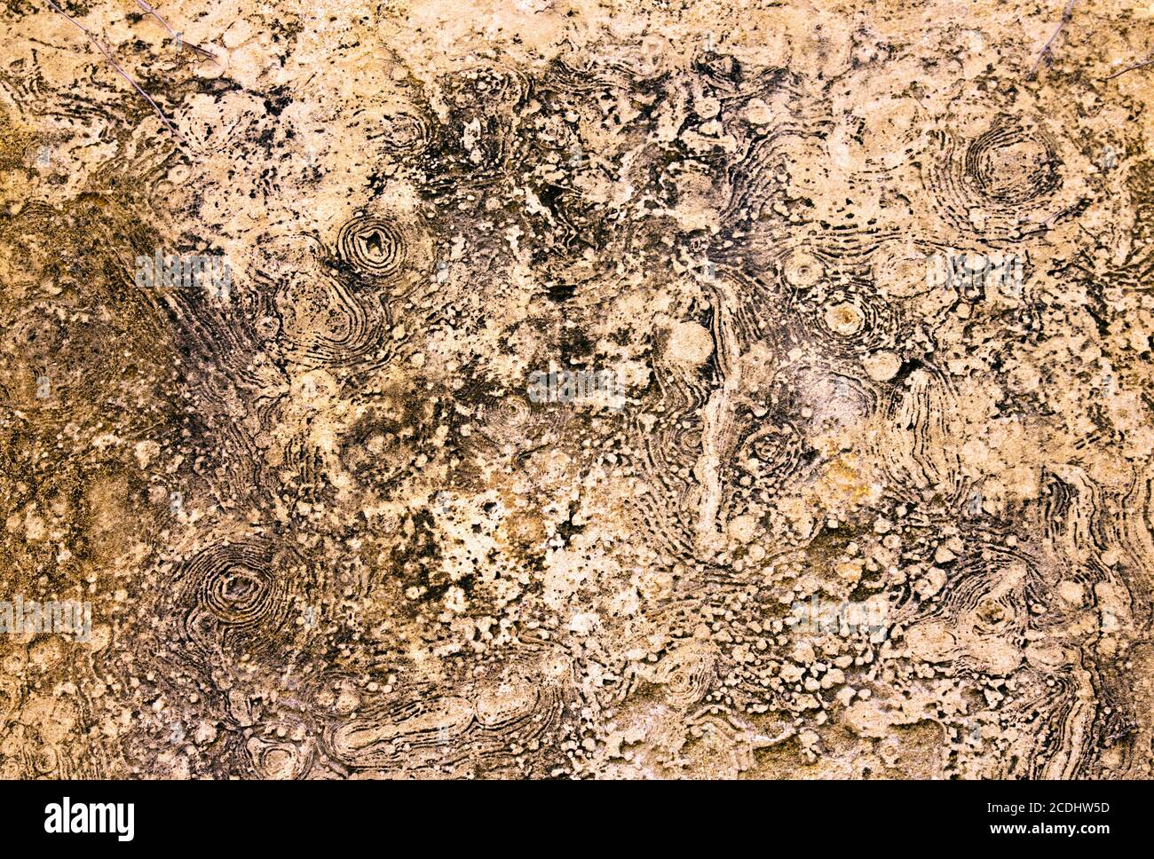 Gerenderte Wand Sardinien Stockfoto