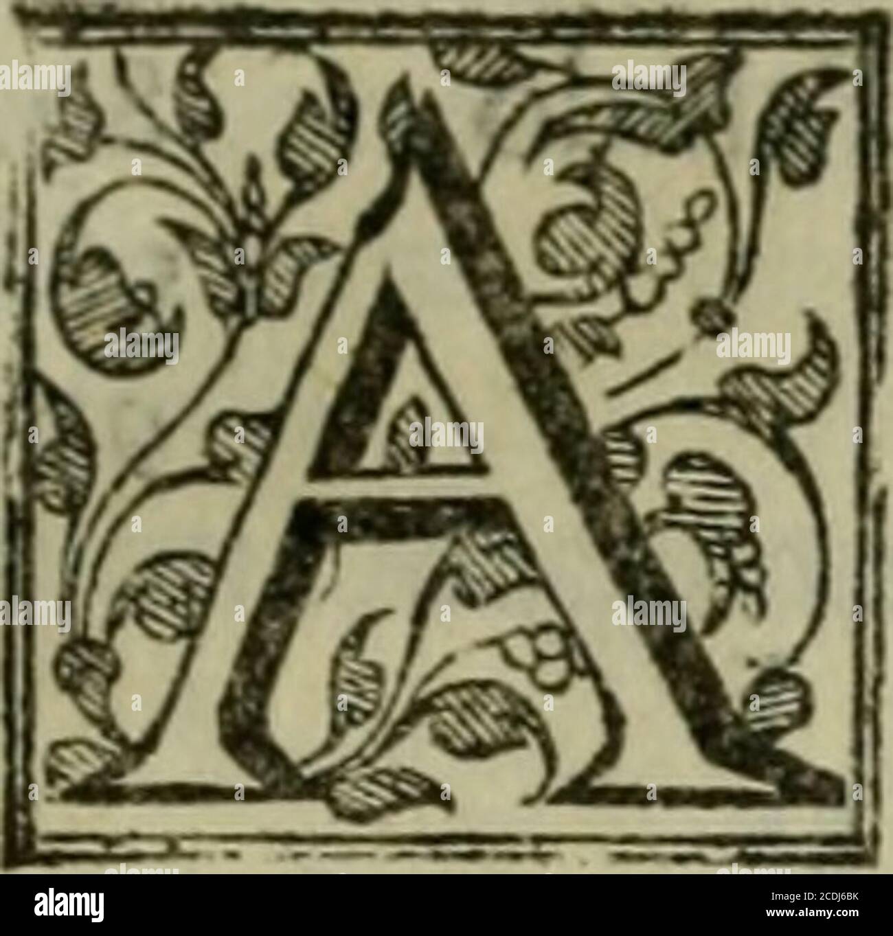 . Venetia, Citta nobilissima et singolare . creato Trocurator di Fan Marco de ei-ra, alli i i USD.di Dicembre.li 7 9 Bianca figliuola di Bartolomeo Cappello, & adottata per figliuola dalla Signoria,Gran Duchejfa di Tofcana,per Don Francefco de Medici Gran Duca fuo marito. Und effo Bartolomeo con littorio fuo Fi-gUuolotfatti Caualieri dal Senato. ?{jco/ò Feniero, creato Trocurator di Fan Marco de Cìtra, alli 2P, diFebruar.15 80 jacomo Fofcarini CaualierOyCreato Trocurator di S.Marcode Supra,Allis.Dimar%p . Ciouanni Michele Caualiero t creatoTrocurator di Fan Marco de FUtra, alli is.di^GoHo. Tijcolò d Stockfoto