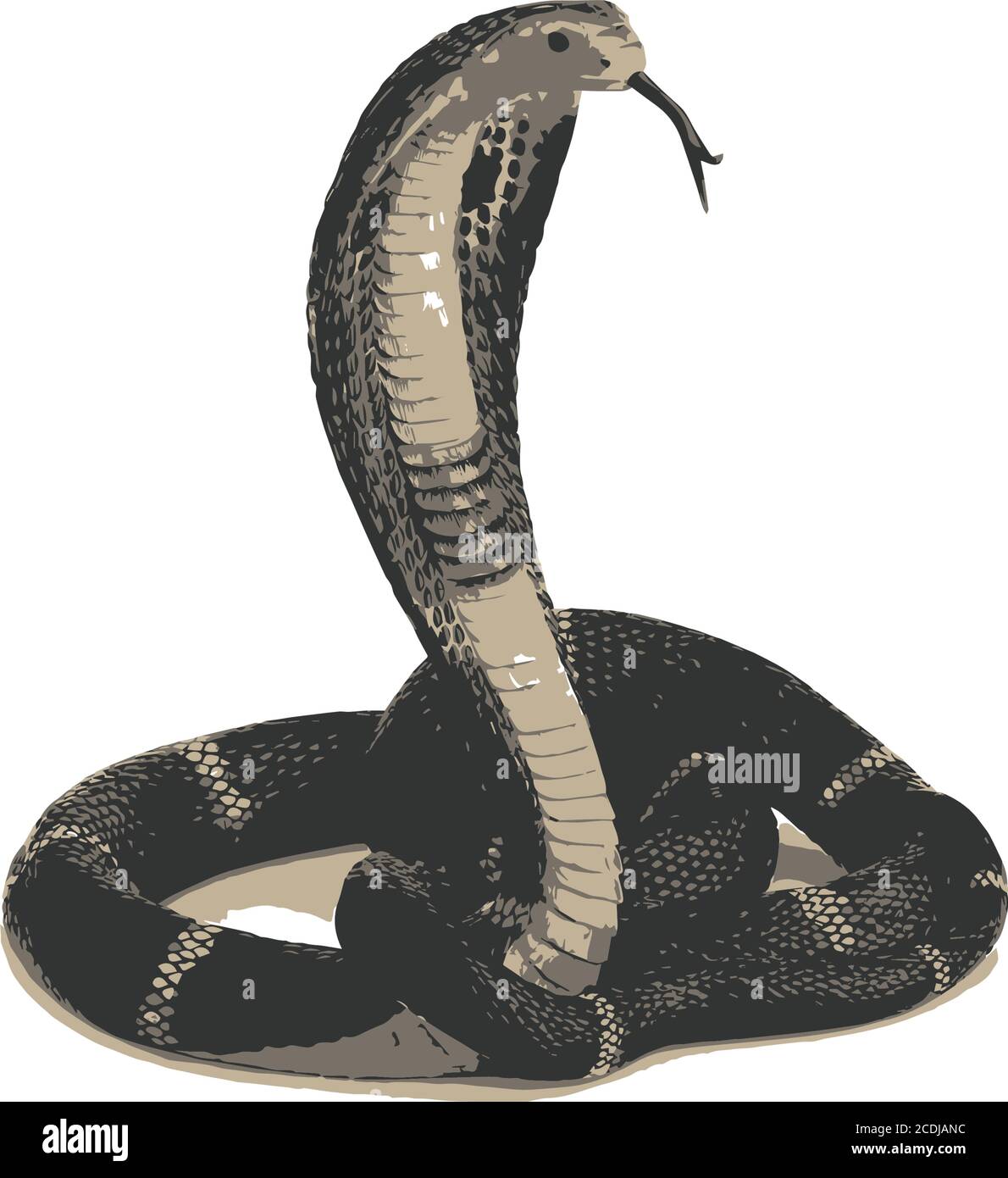 Schlange Logo Vektor-Illustration auf weißem Hintergrund Stock Vektor