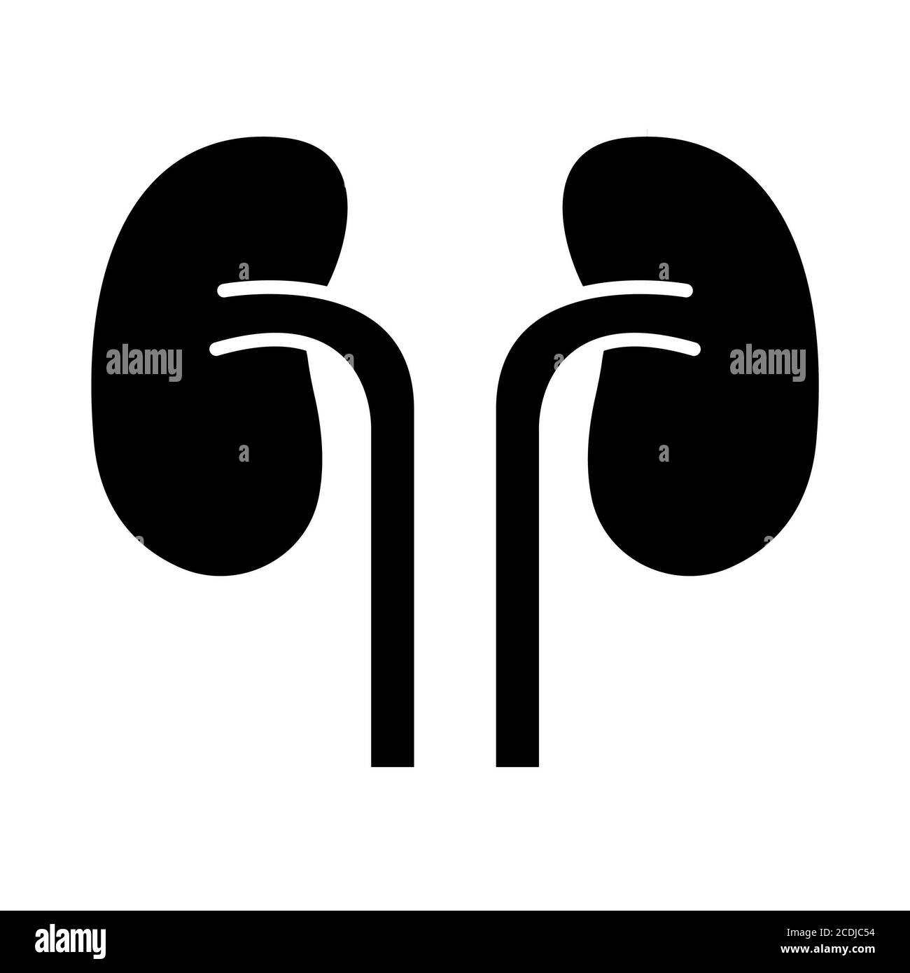 Symbole Für Die Nierenanatomie Der Glyphen Stockfoto